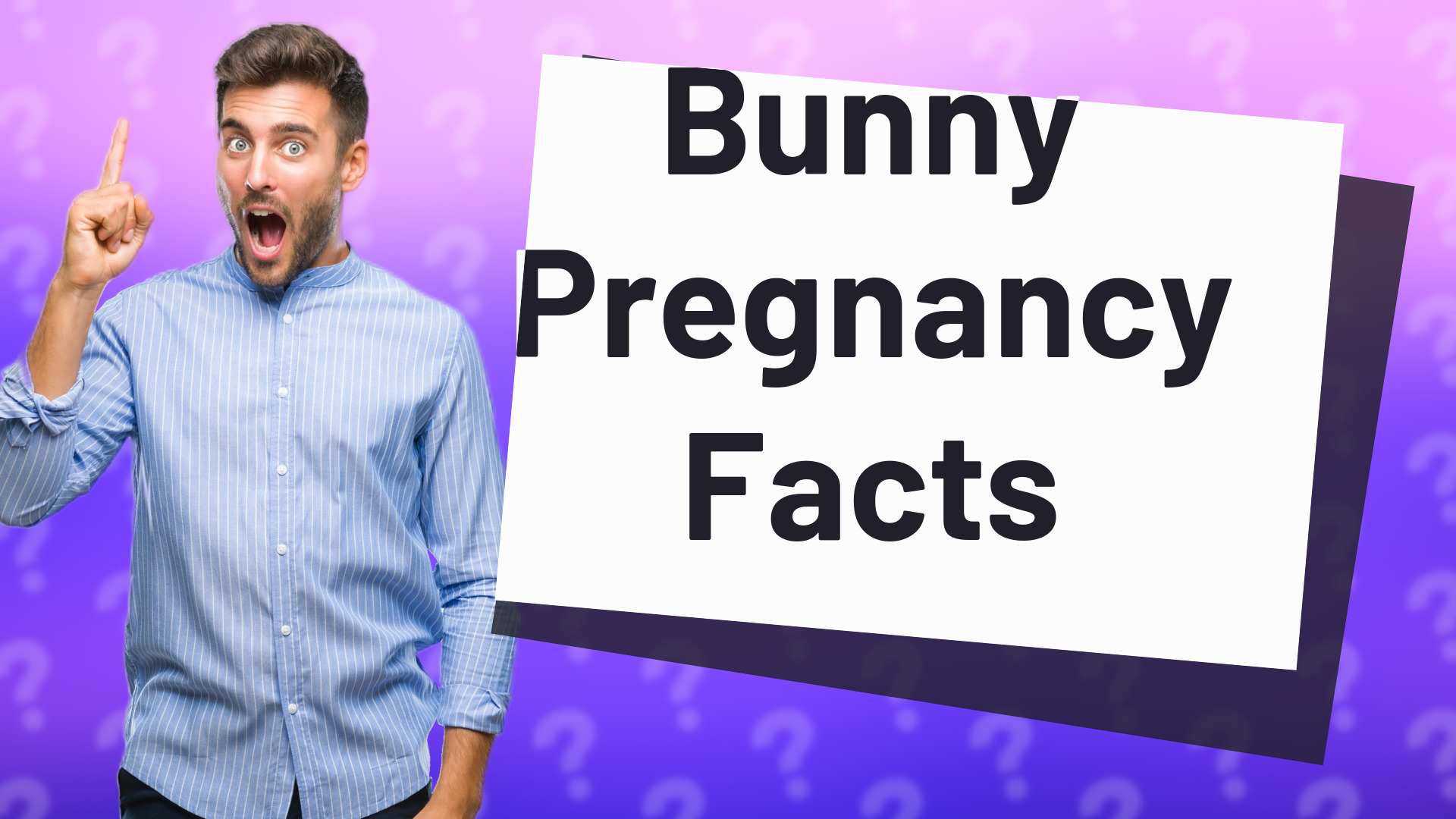 Bunny Pregnancy Facts