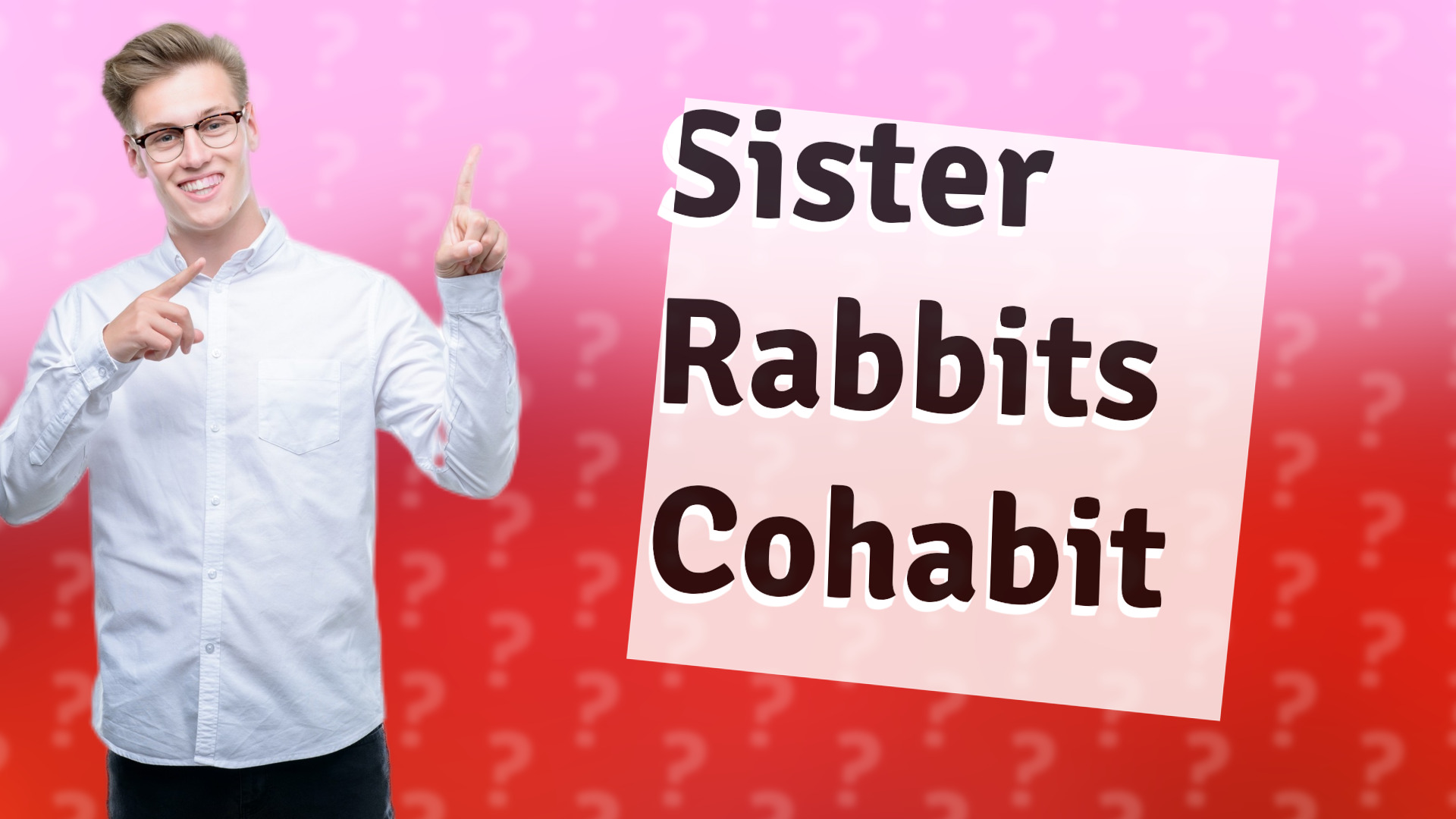 Sister Rabbits Cohabit