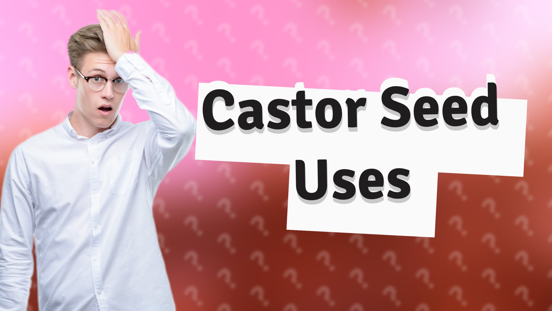 Castor Seed Uses