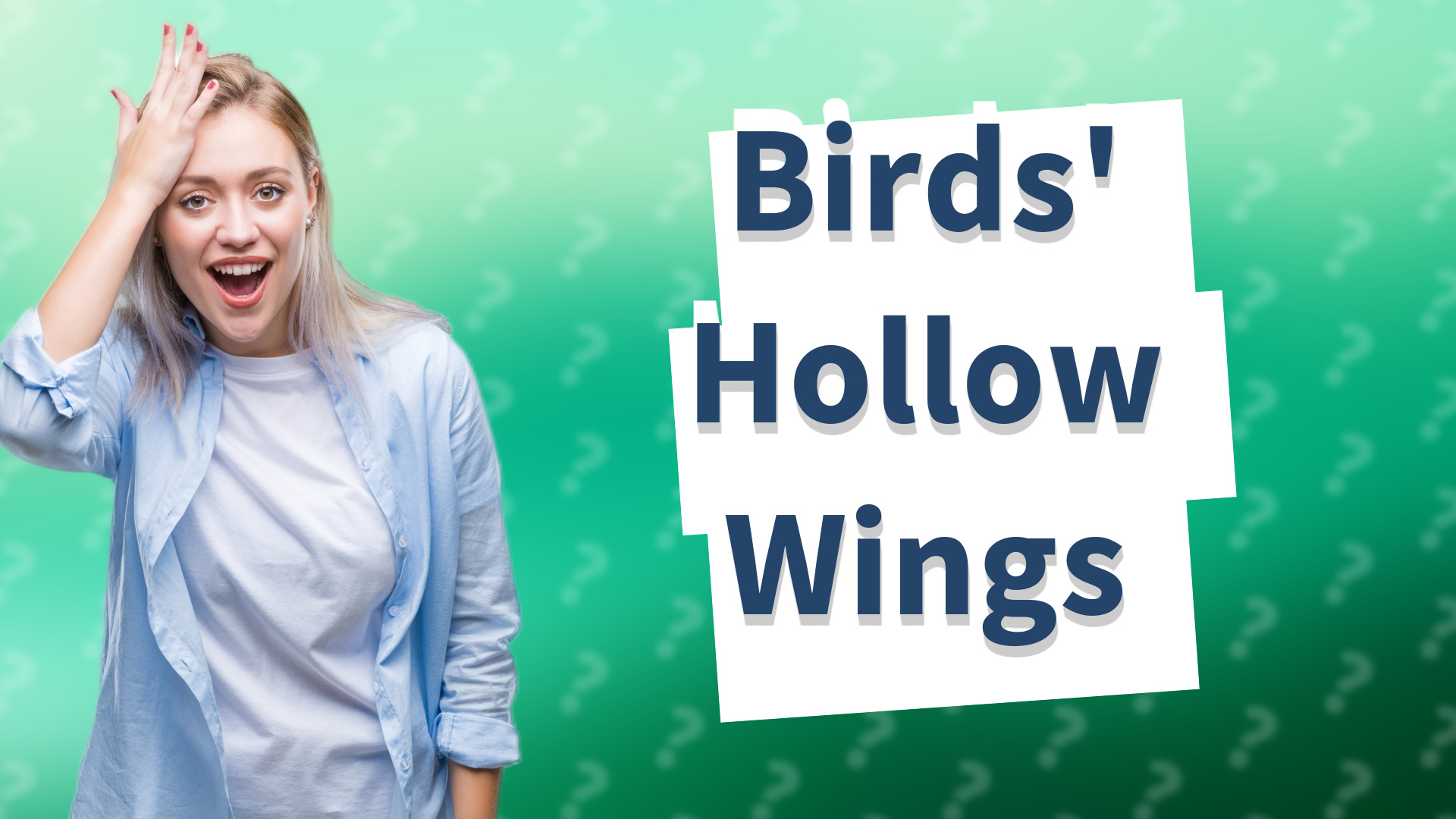 Birds' Hollow Wings