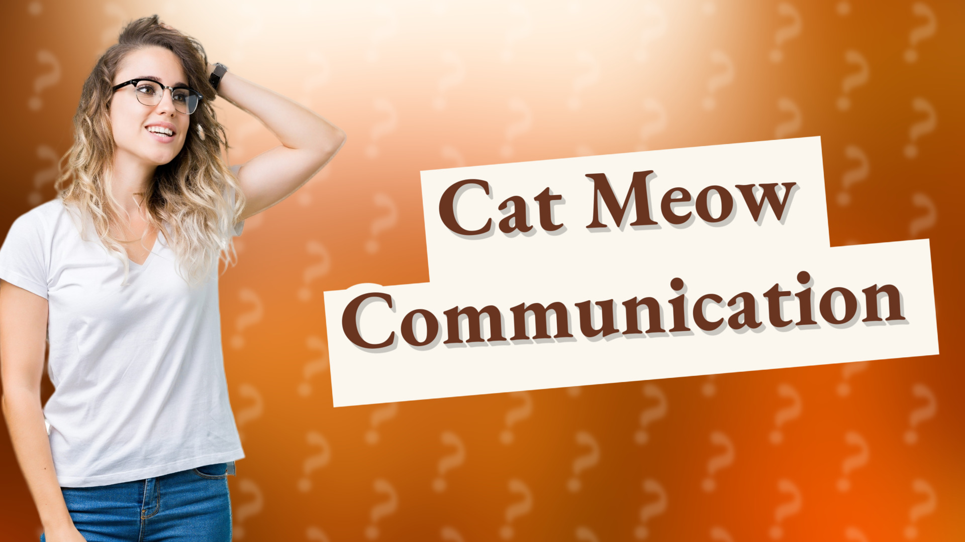Cat Meow Communication