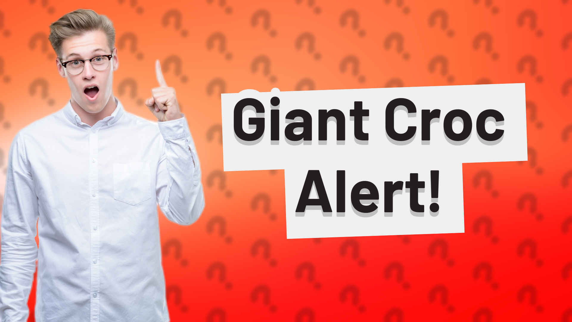 Giant Croc Alert!