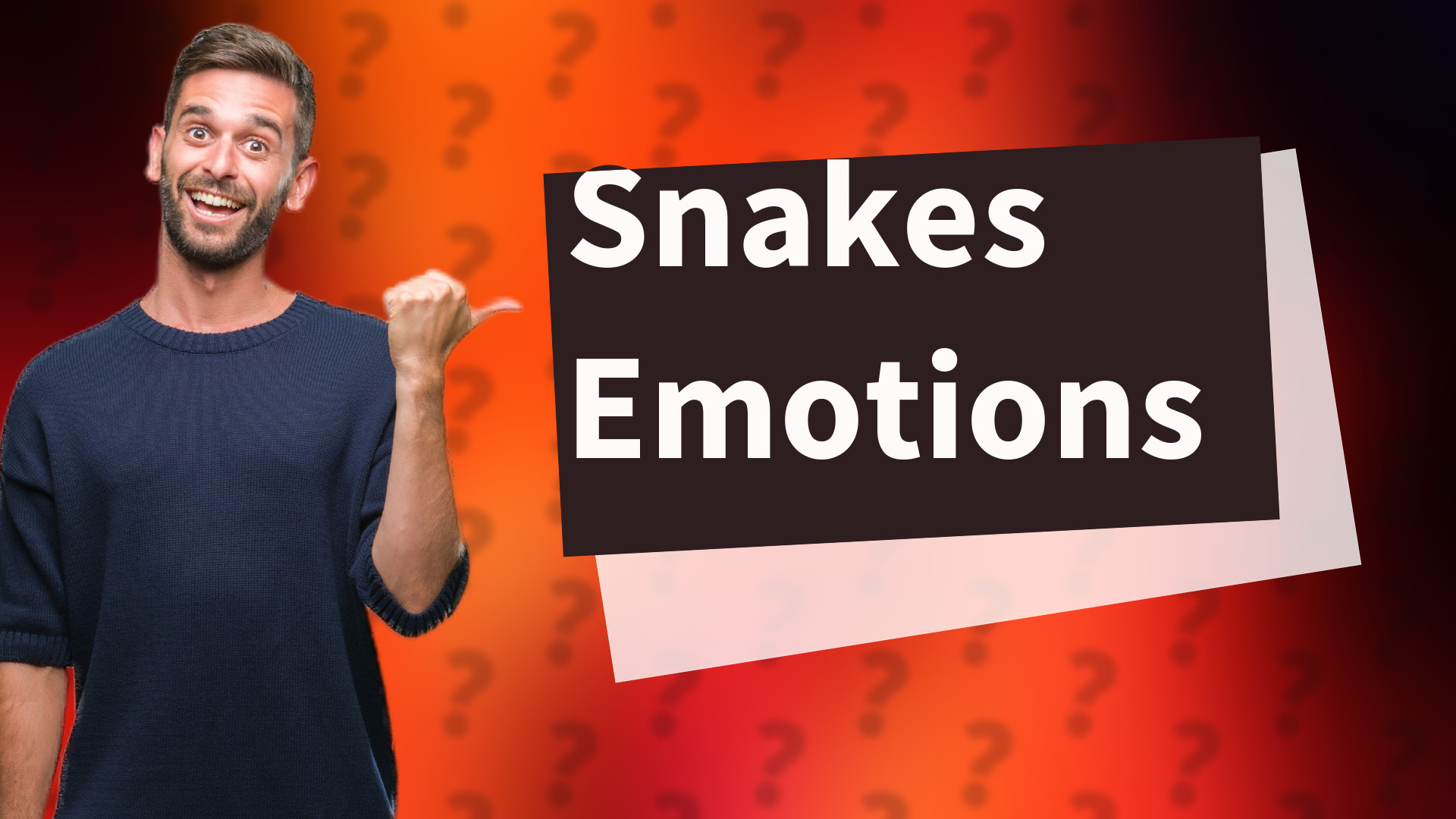 Snakes Emotions