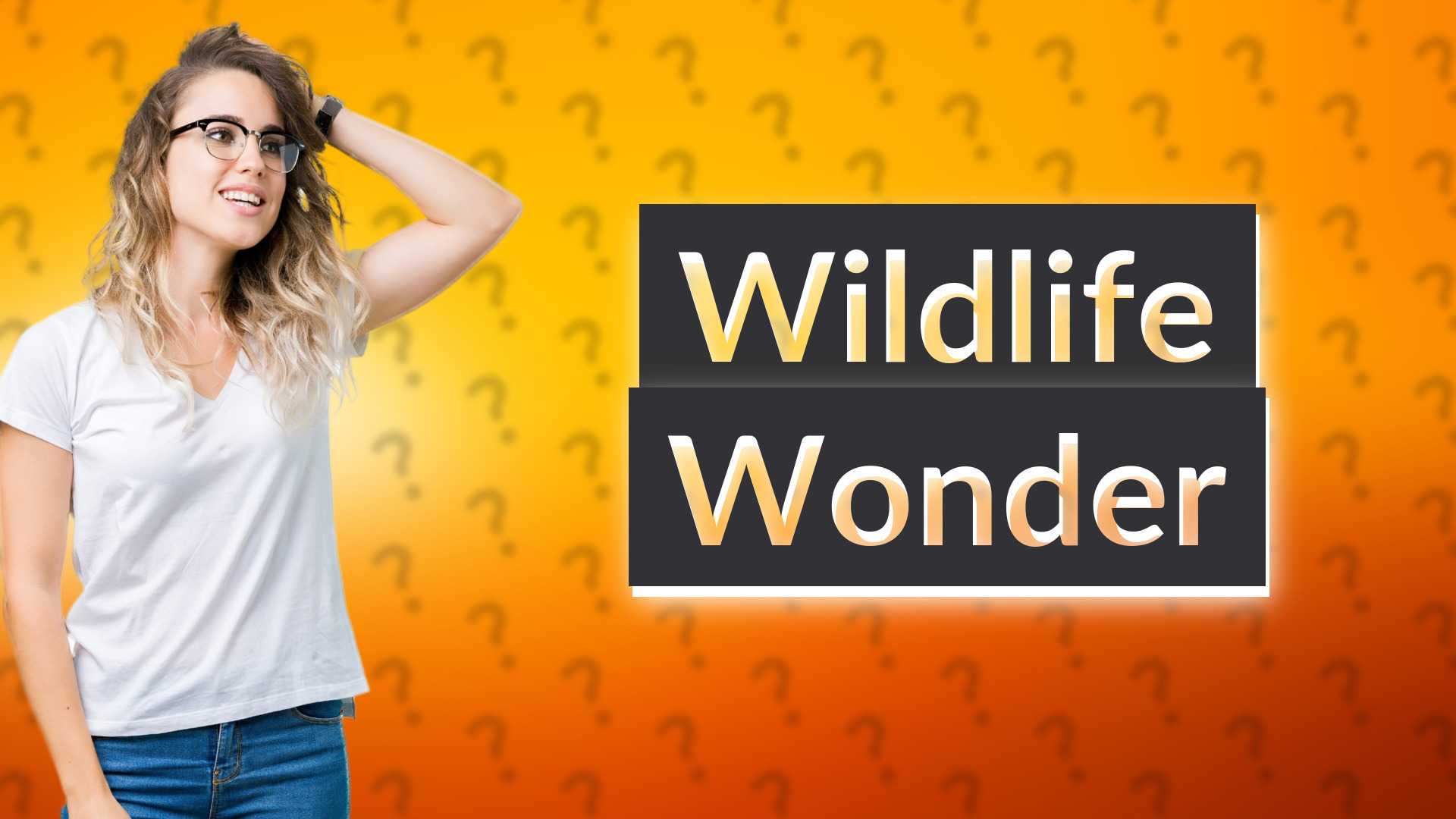 Wildlife Wonder