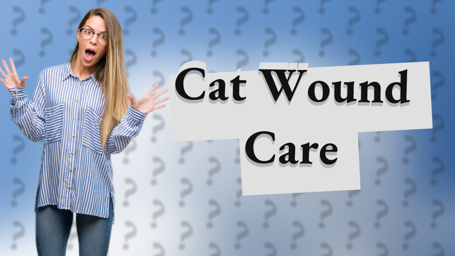 Cat Wound Care