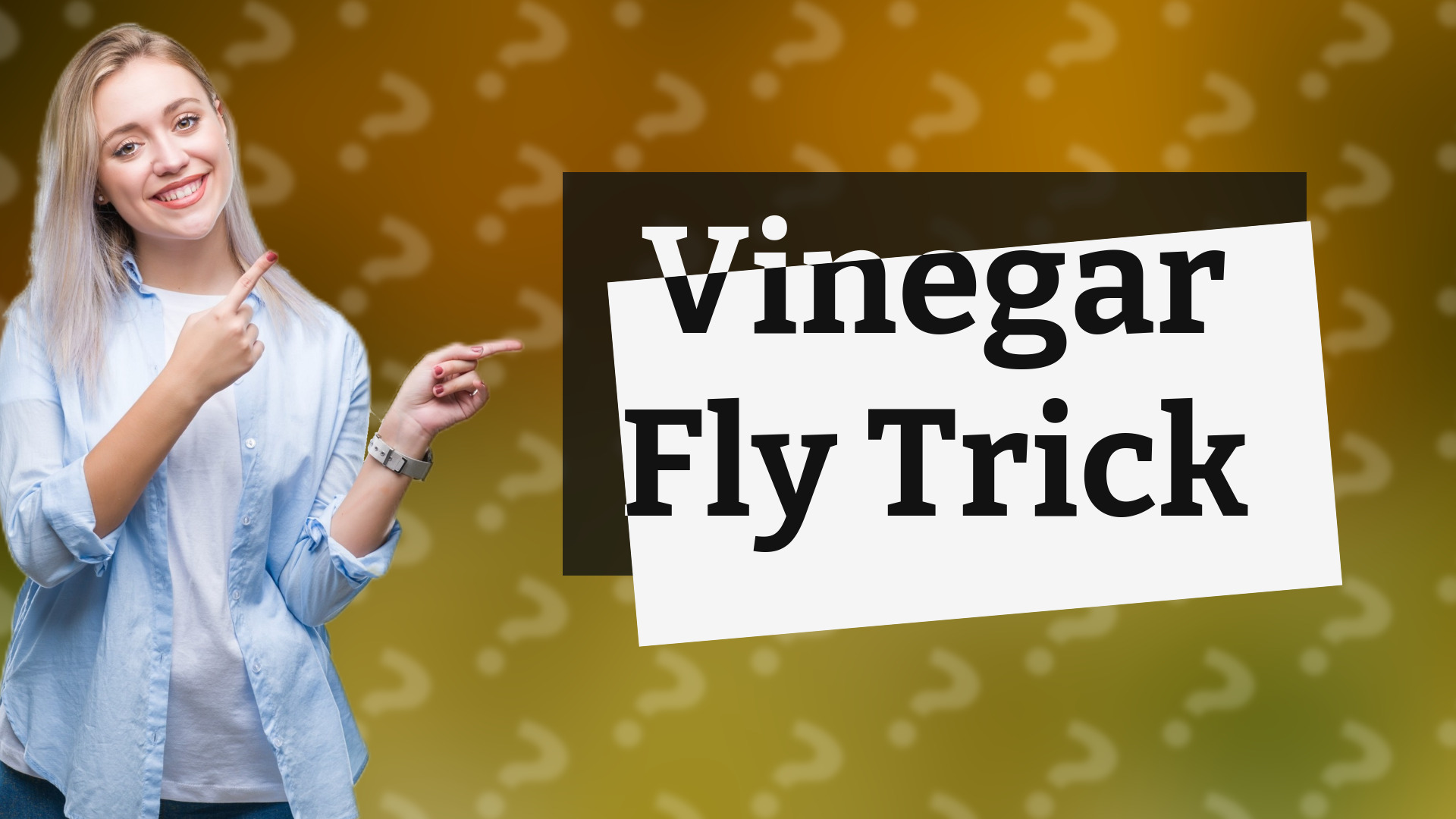 Vinegar Fly Trick