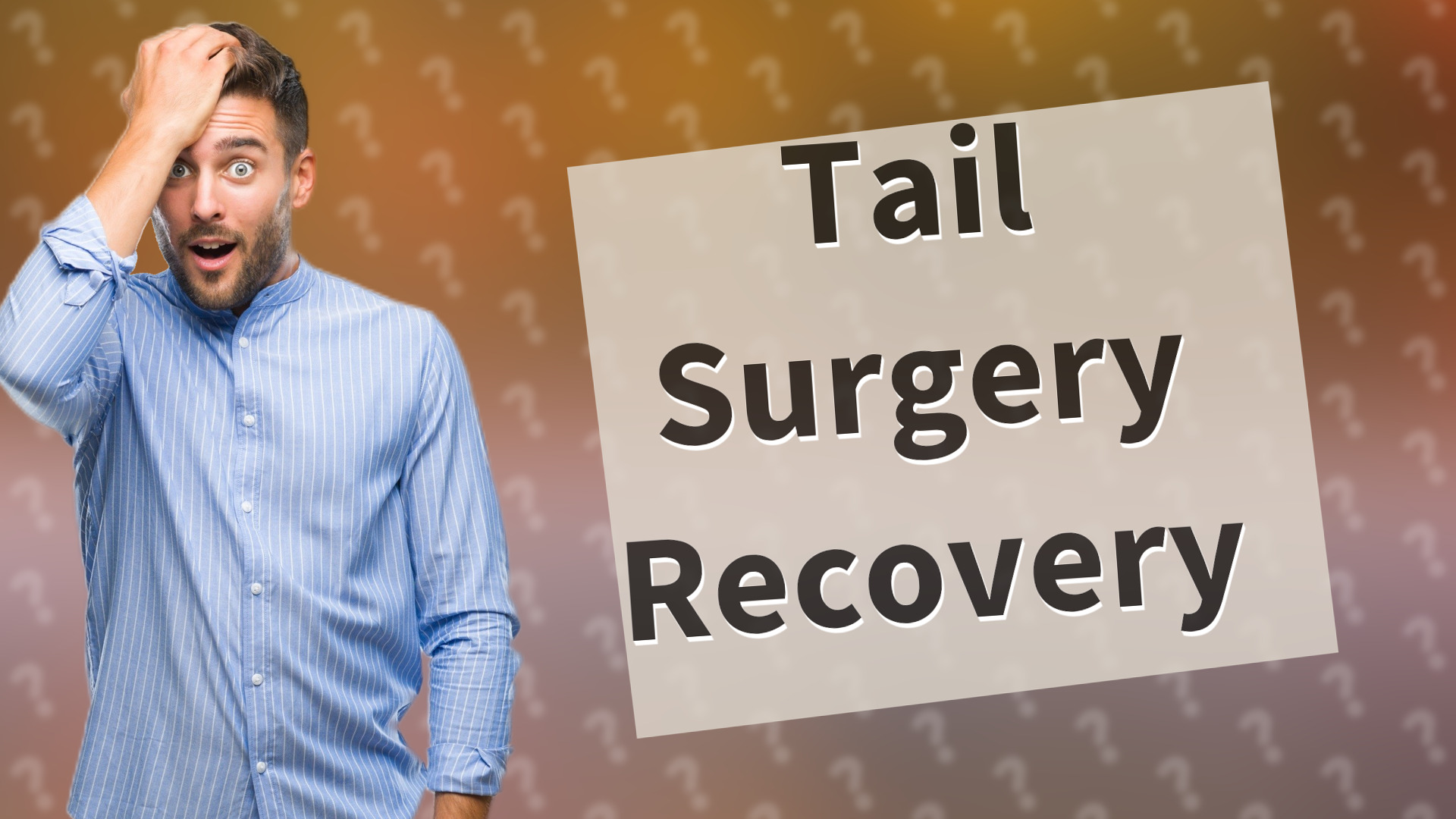 Tail Surgery Recovery