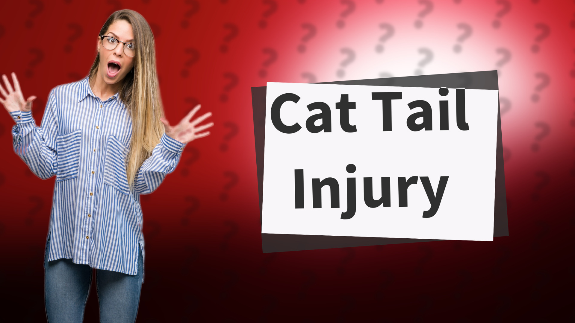 Cat Tail Injury