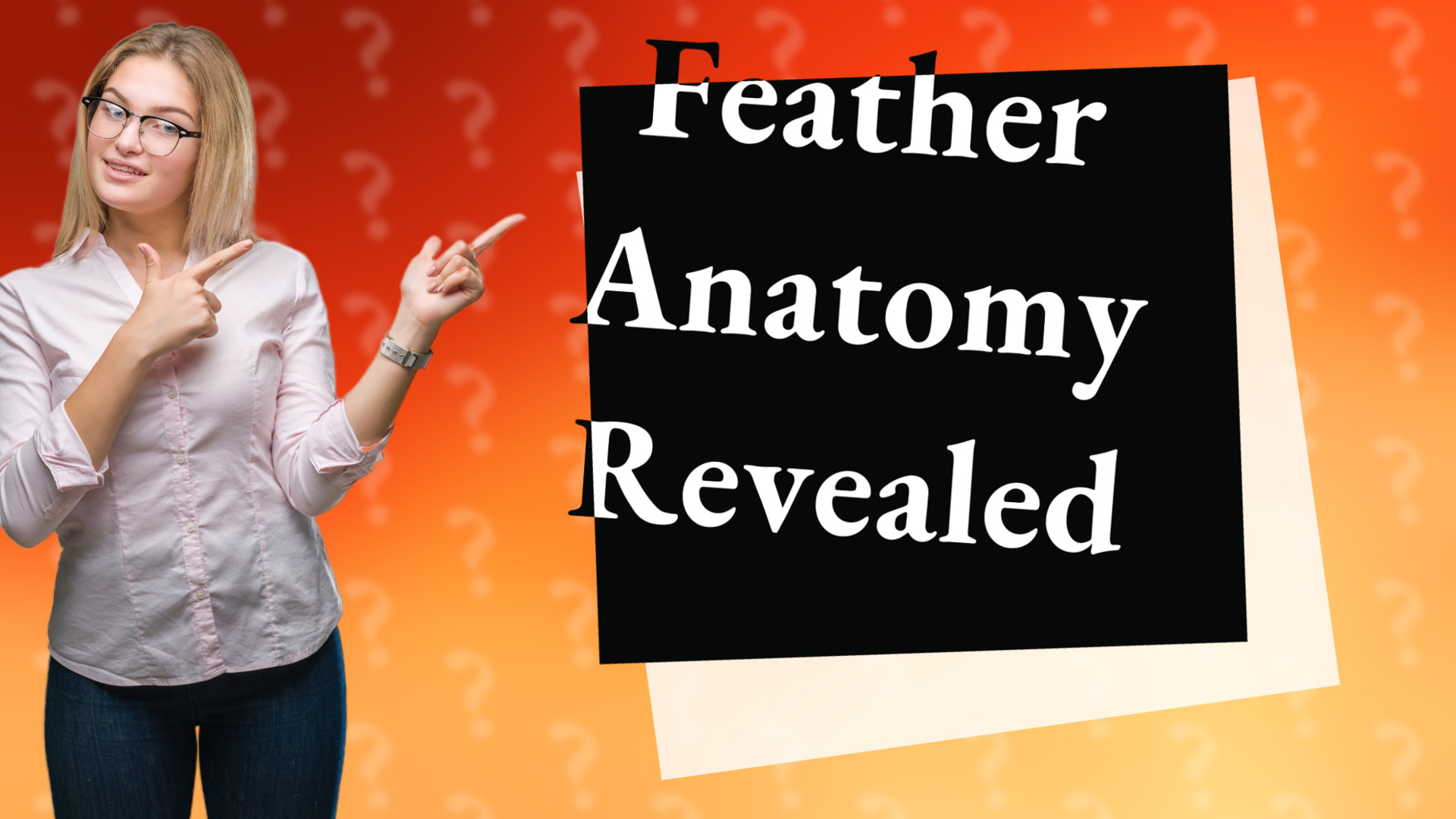 Feather Anatomy Revealed