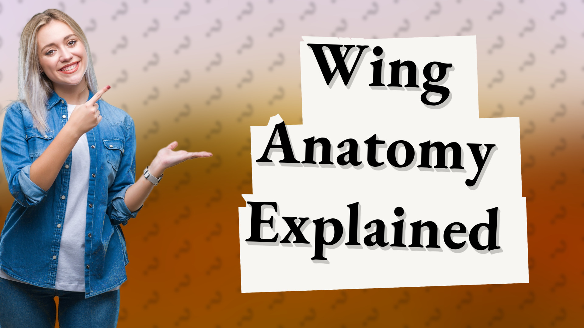 Wing Anatomy Explained