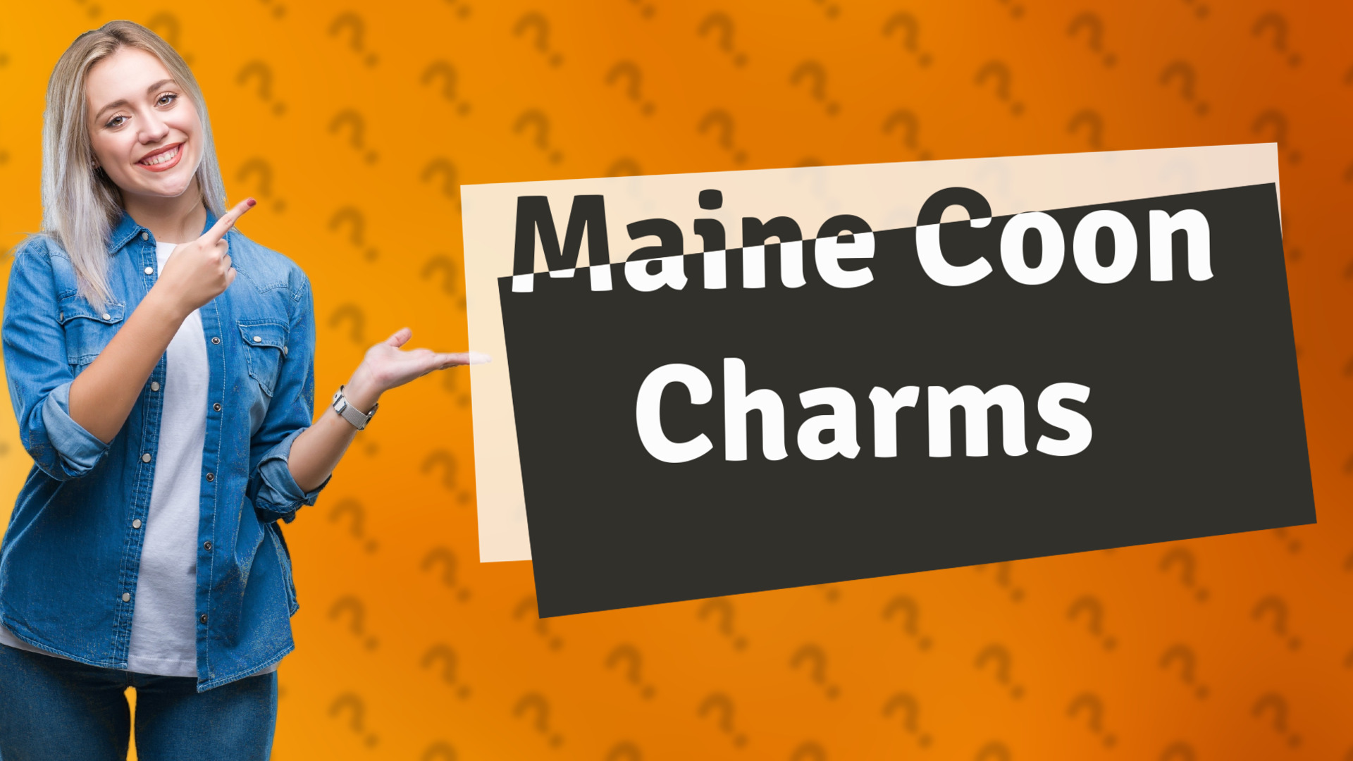 Maine Coon Charms