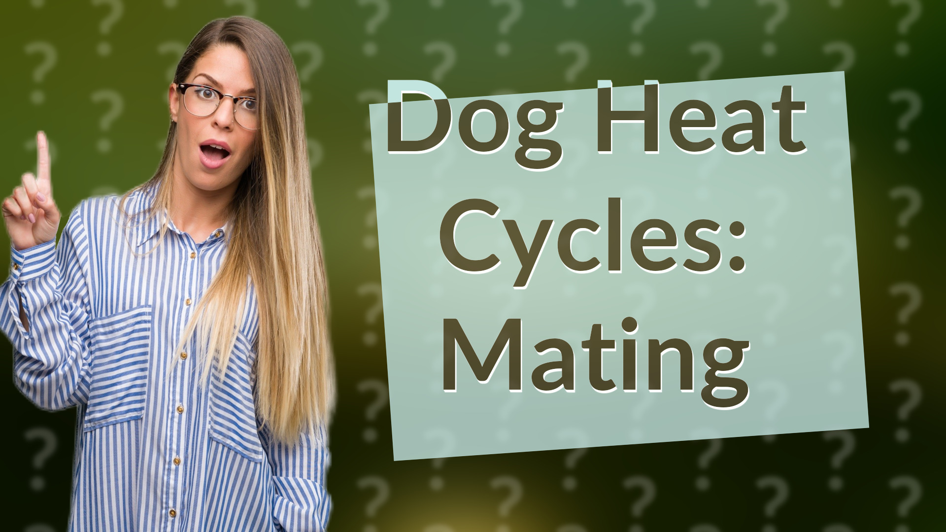 Dog Heat Cycles: Mating
