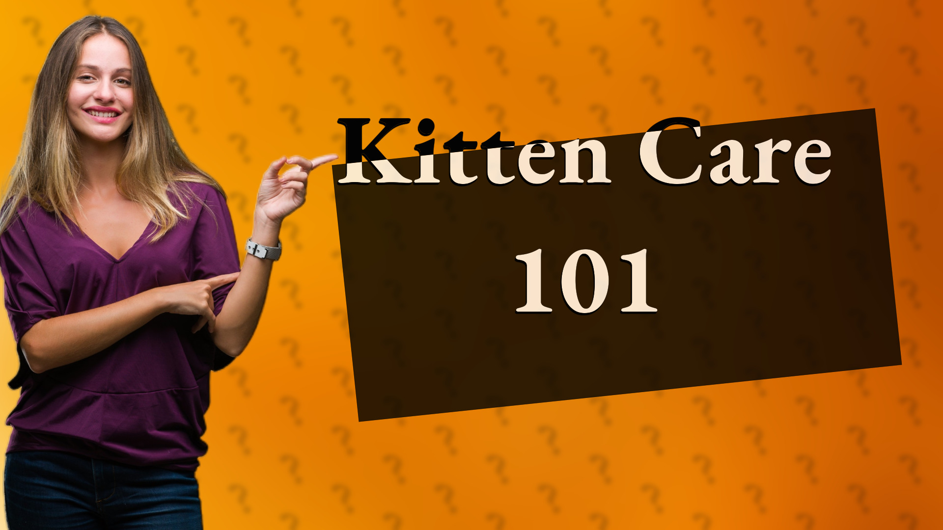 Kitten Care 101