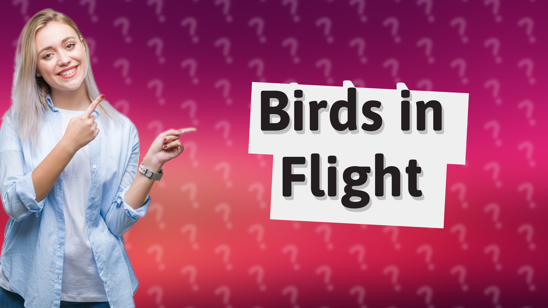 Birds in Flight