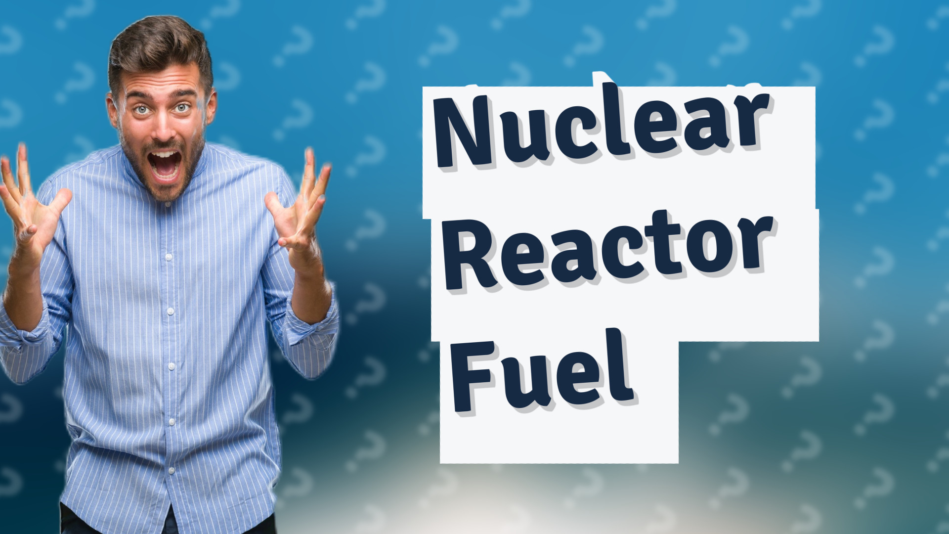 Nuclear Reactor Fuel