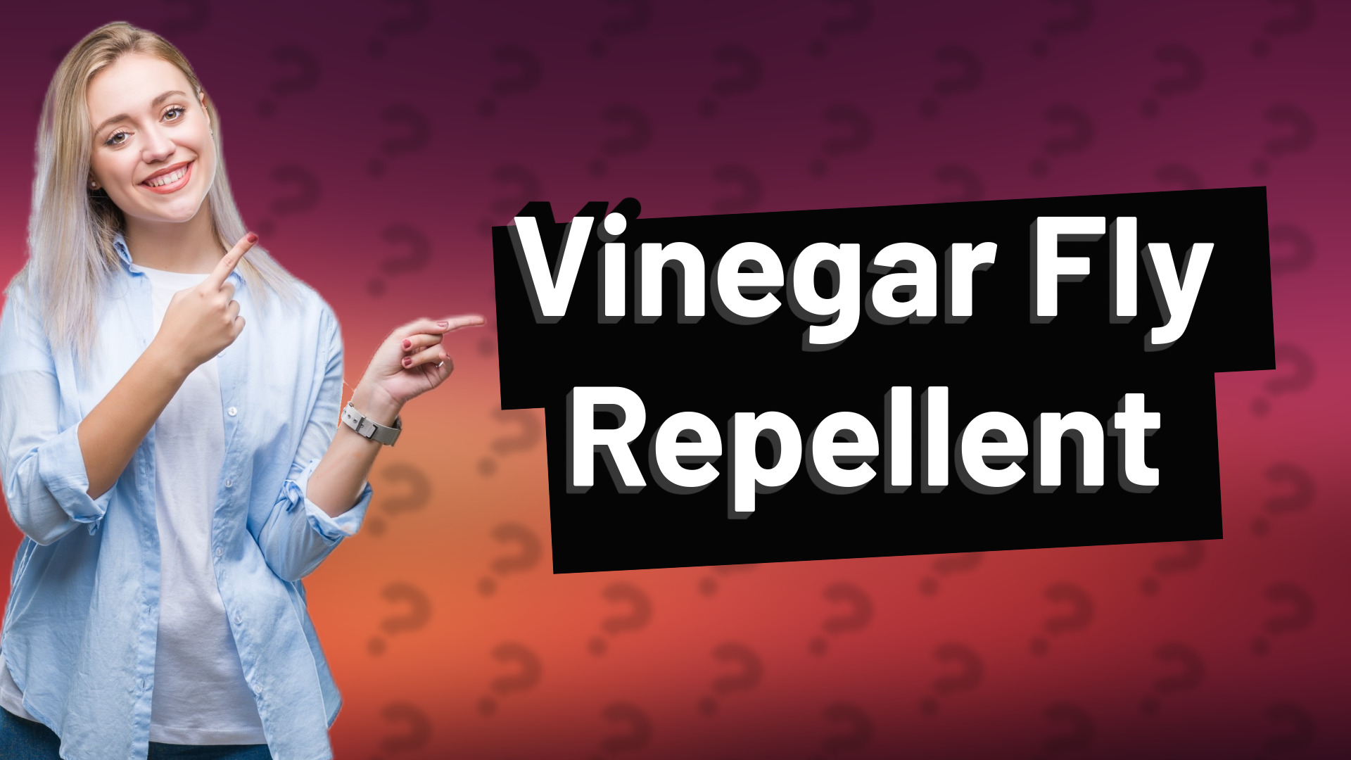 Vinegar Fly Repellent
