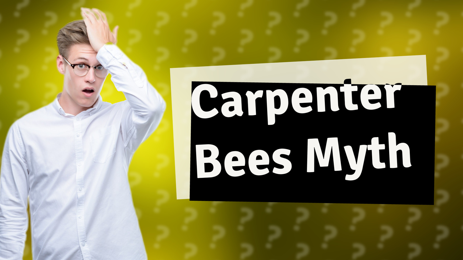 Carpenter Bees Myth
