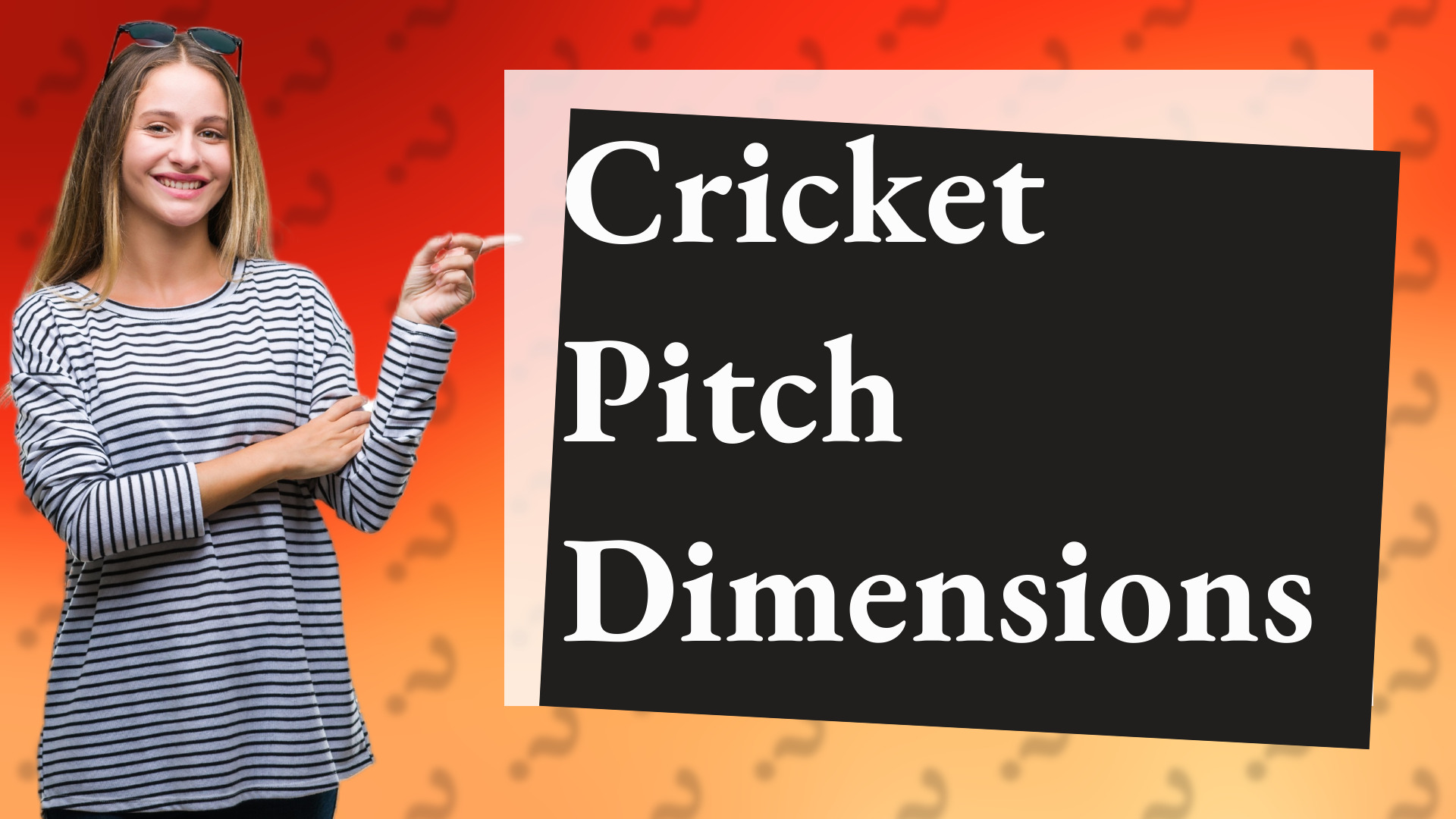 Cricket Pitch Dimensions