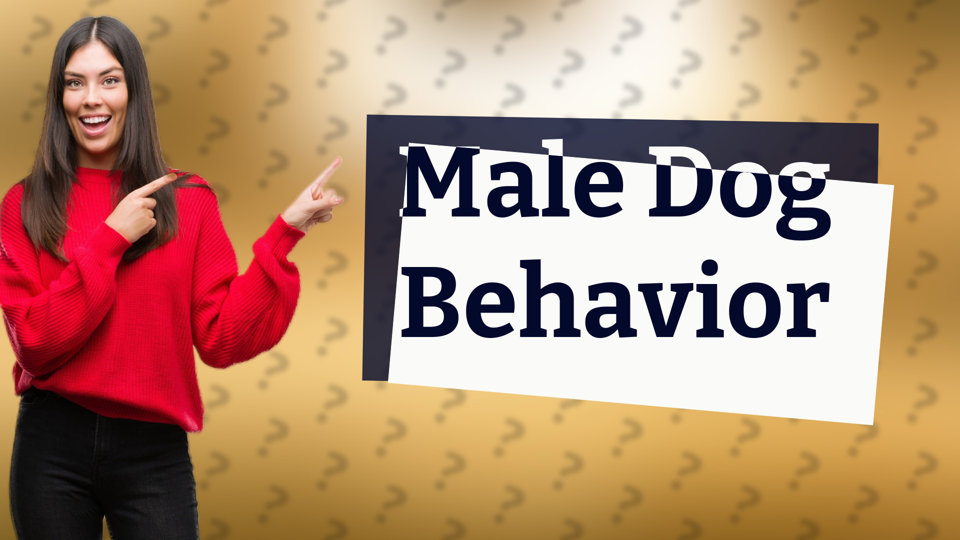 Male Dog Behavior