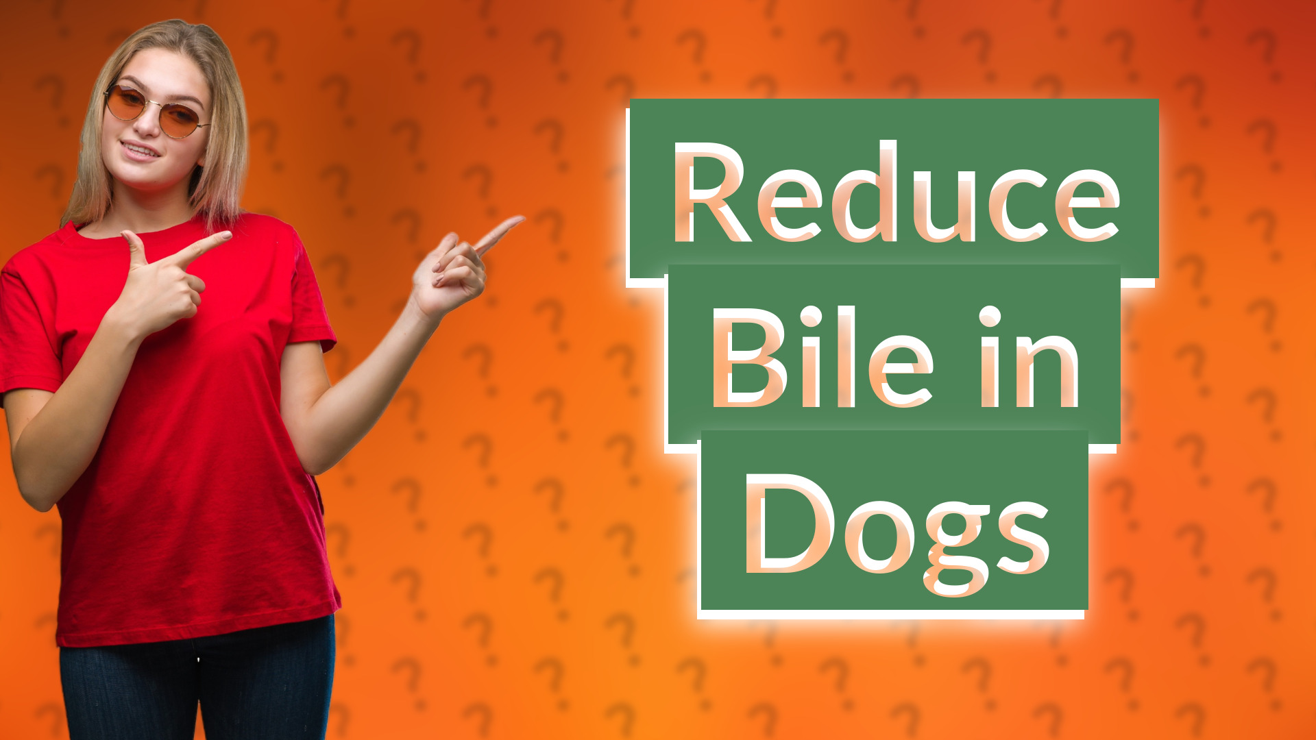 Reduce Bile in Dogs