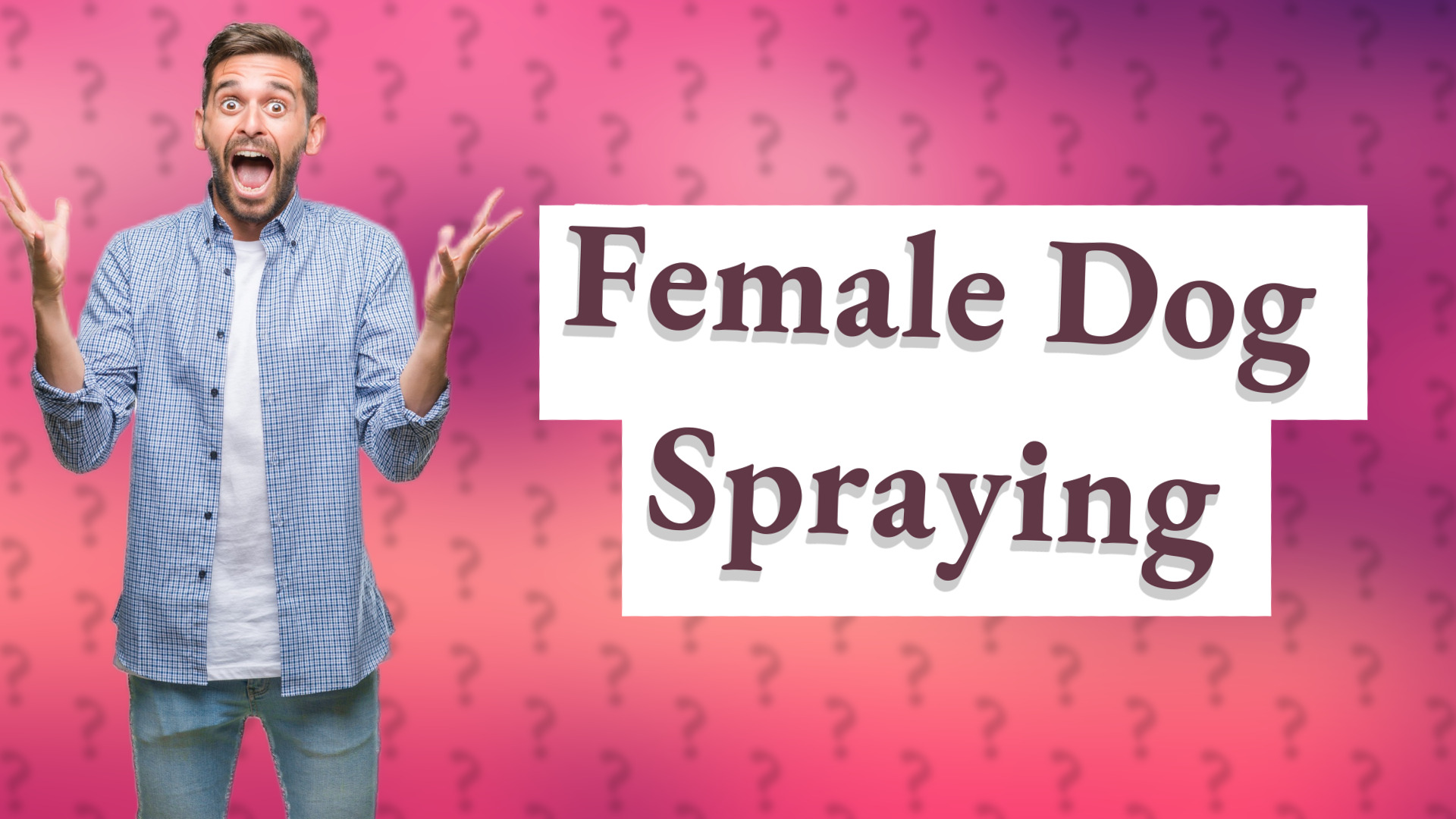 Female Dog Spraying