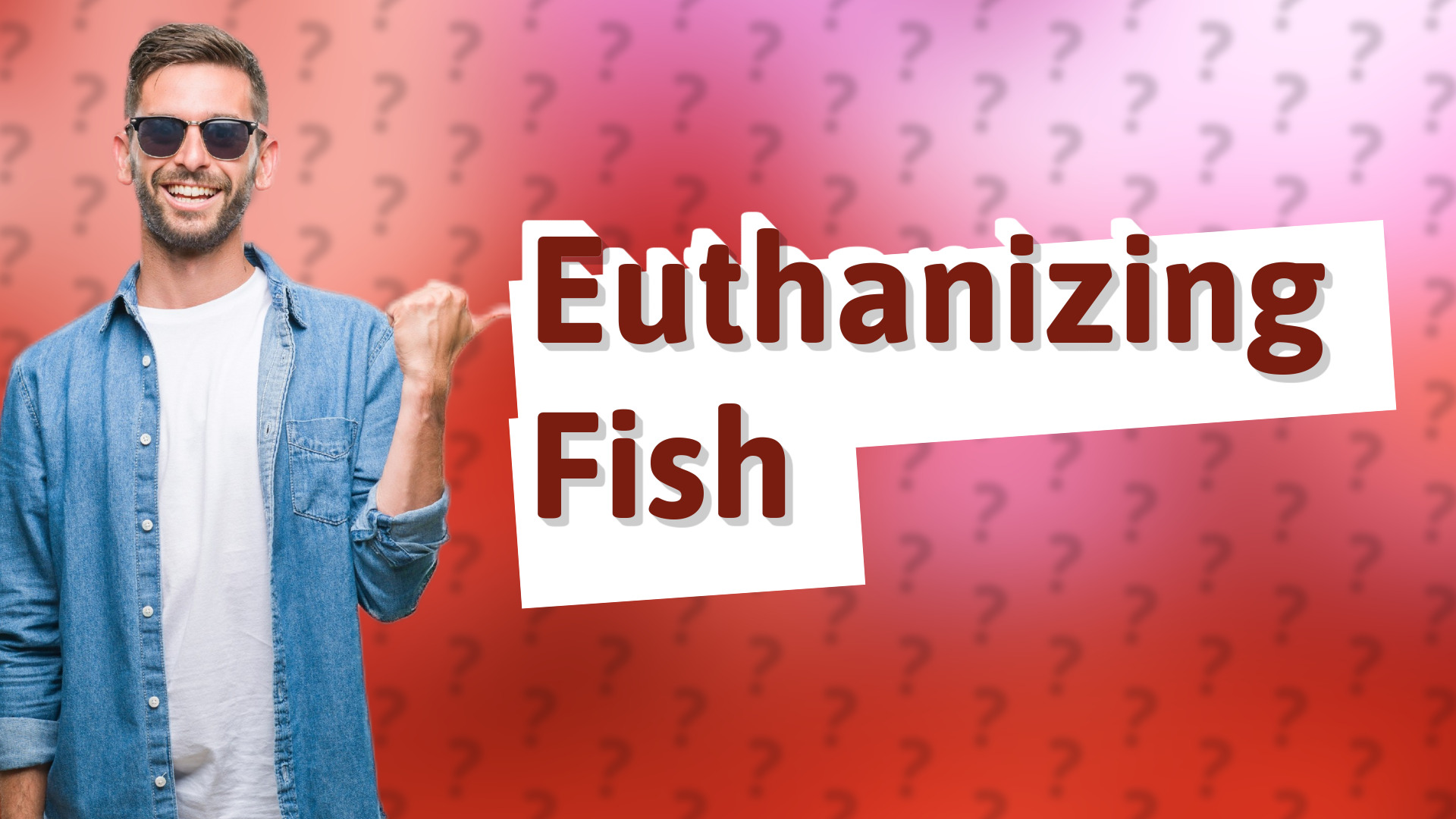 Euthanizing Fish