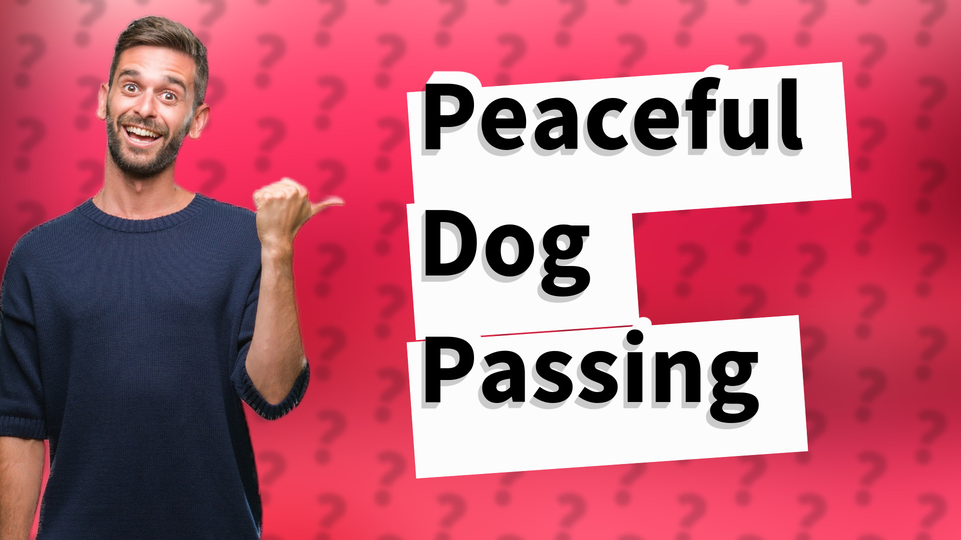 Peaceful Dog Passing