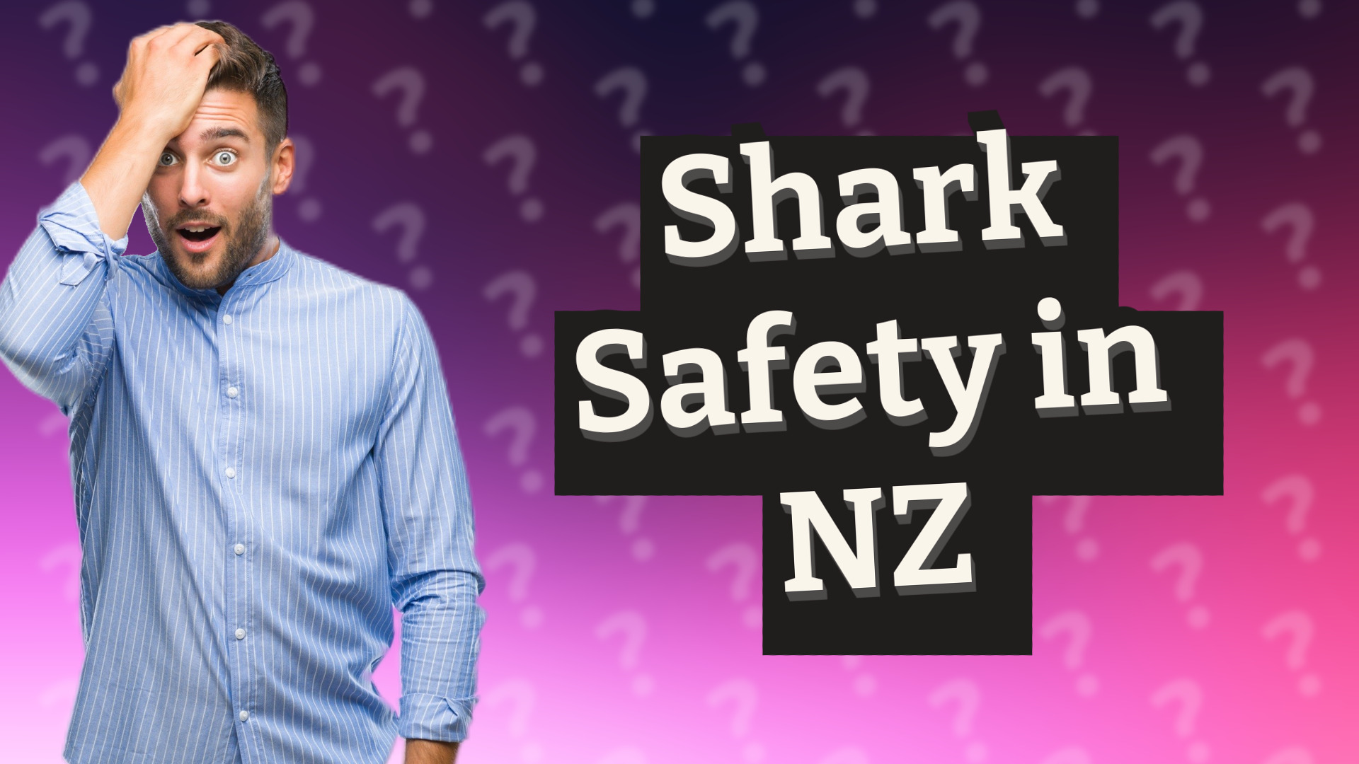 Shark Safety in NZ