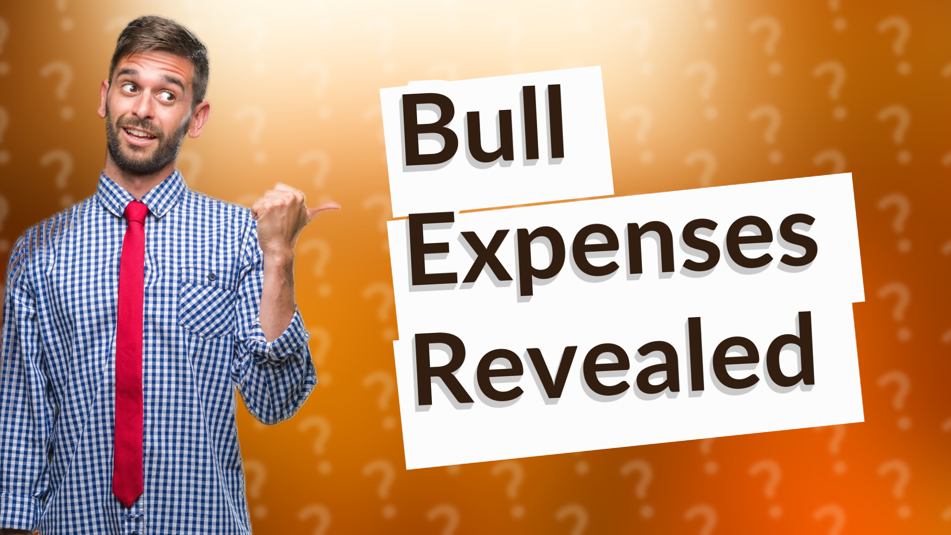 Bull Expenses Revealed
