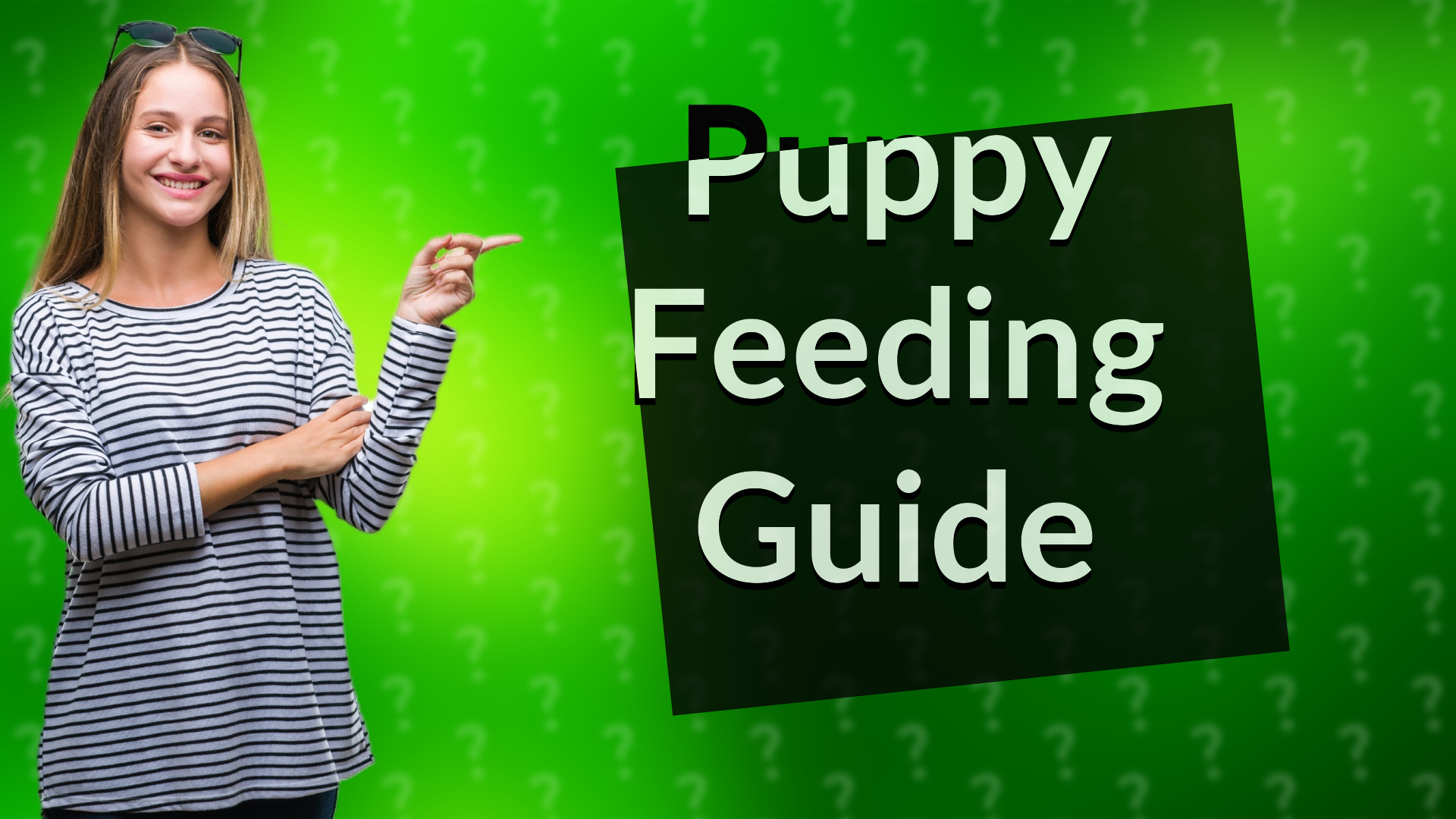 Puppy Feeding Guide