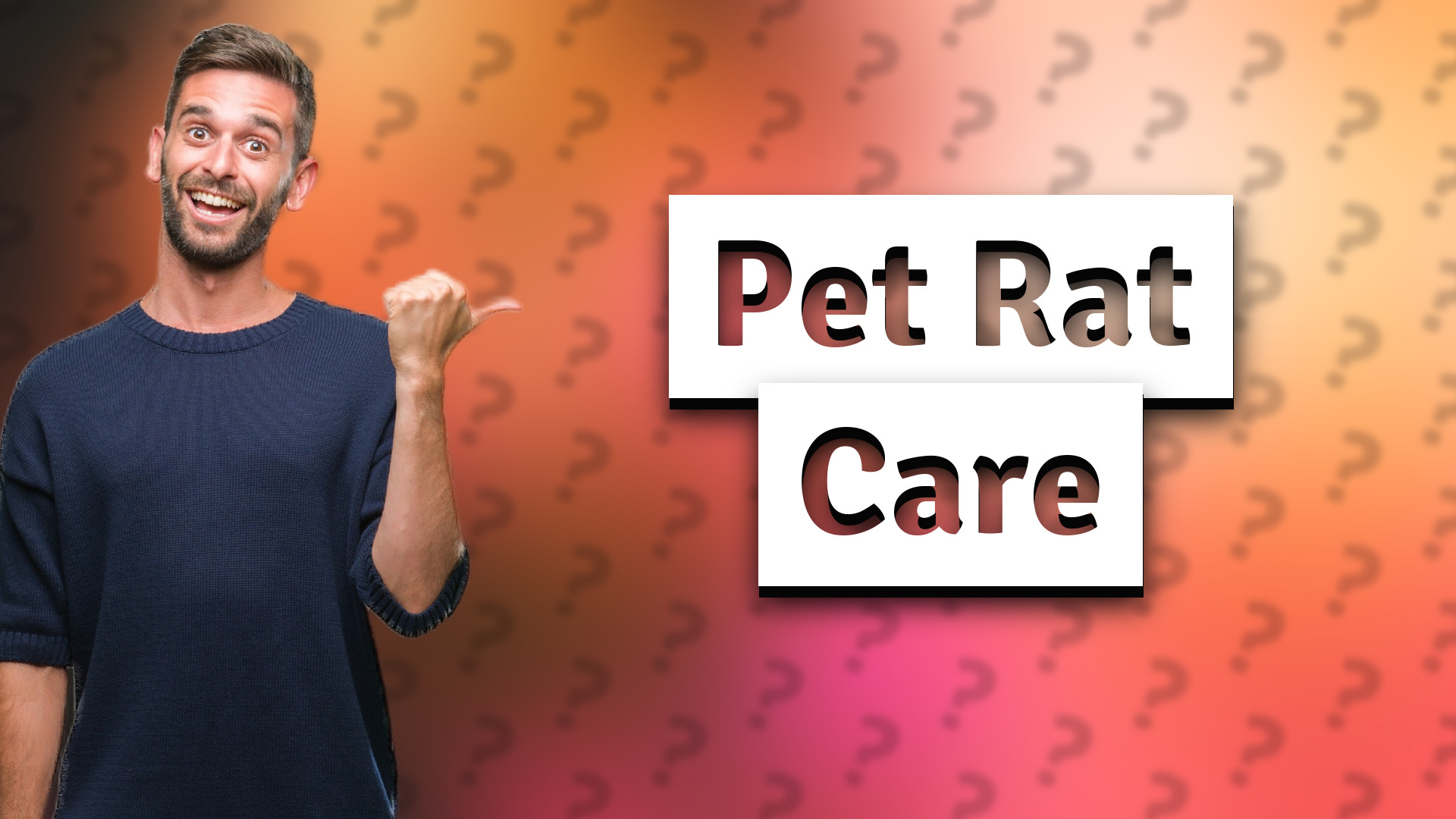 Pet Rat Care