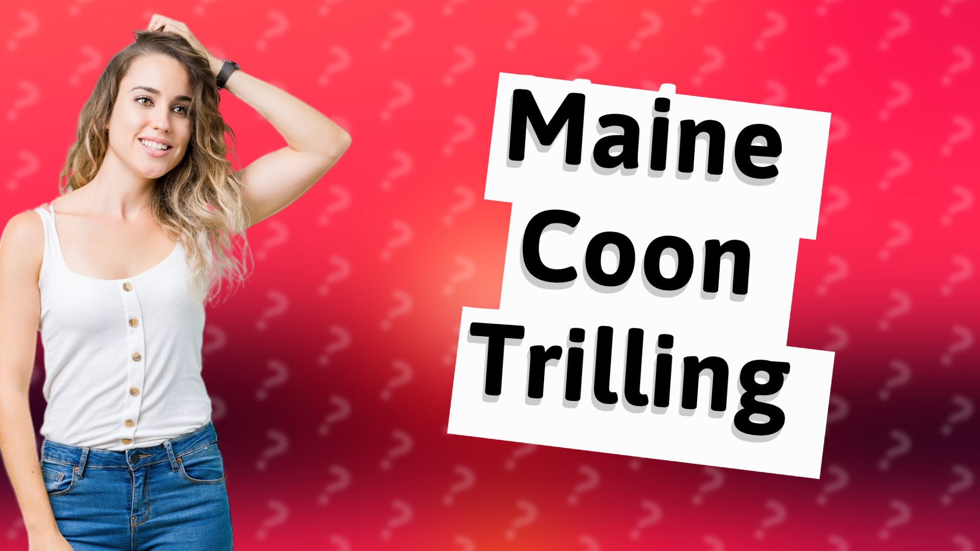 Maine Coon Trilling