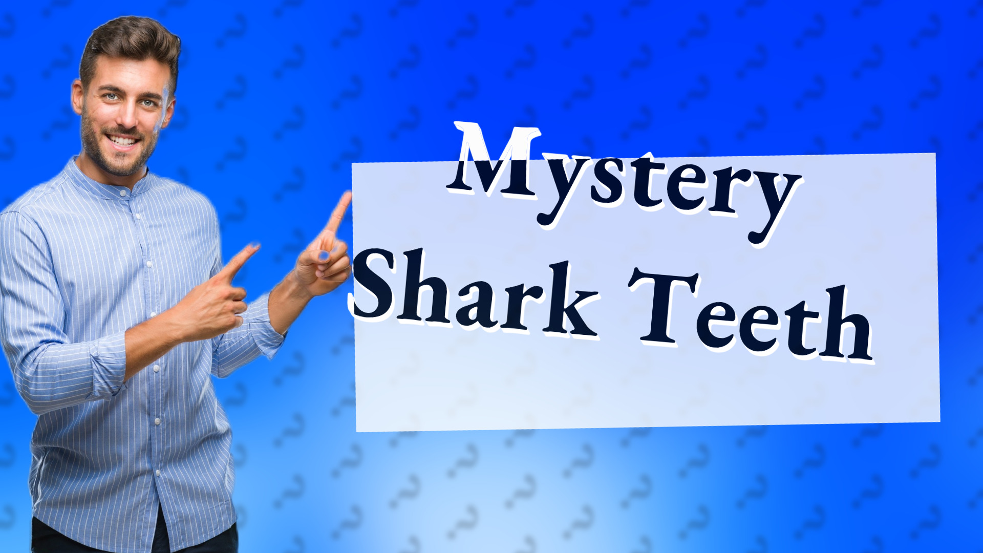 Mystery Shark Teeth