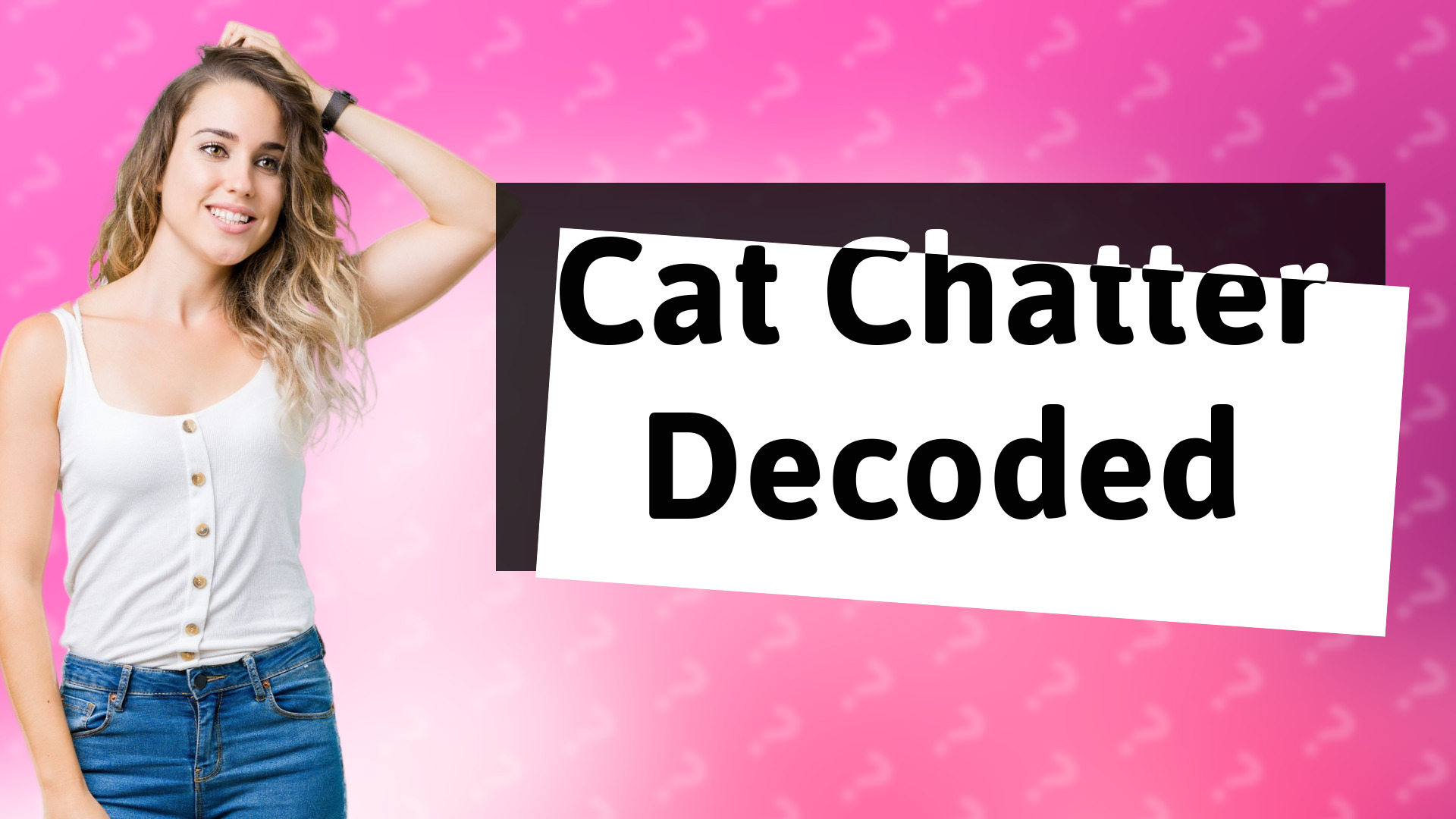 Cat Chatter Decoded