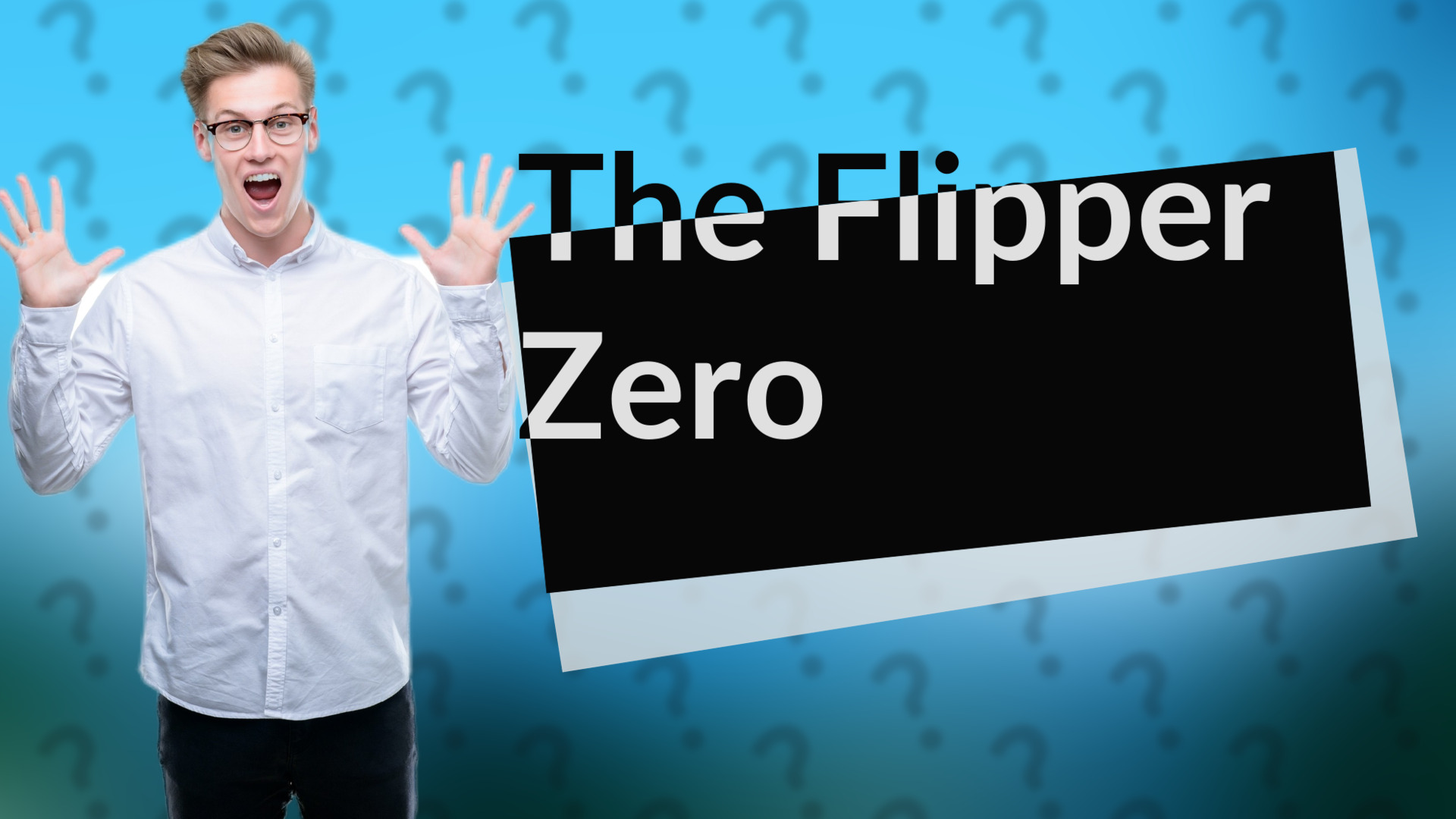 The Flipper Zero