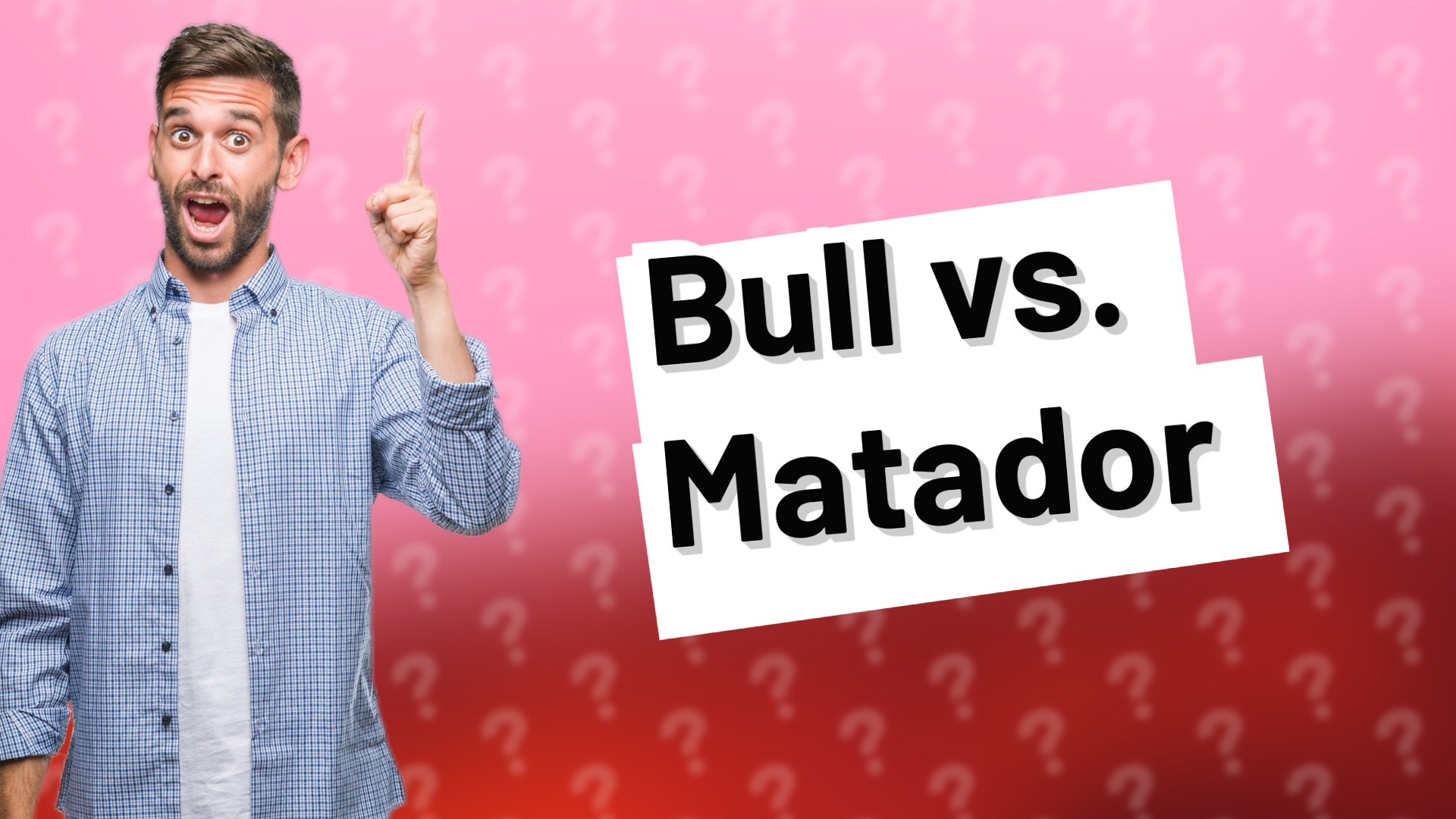 Bull vs. Matador