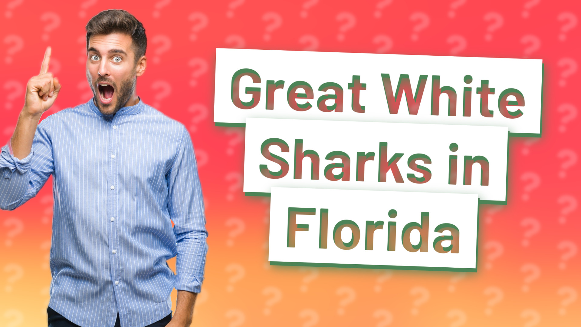 Great White Sharks in Florida
