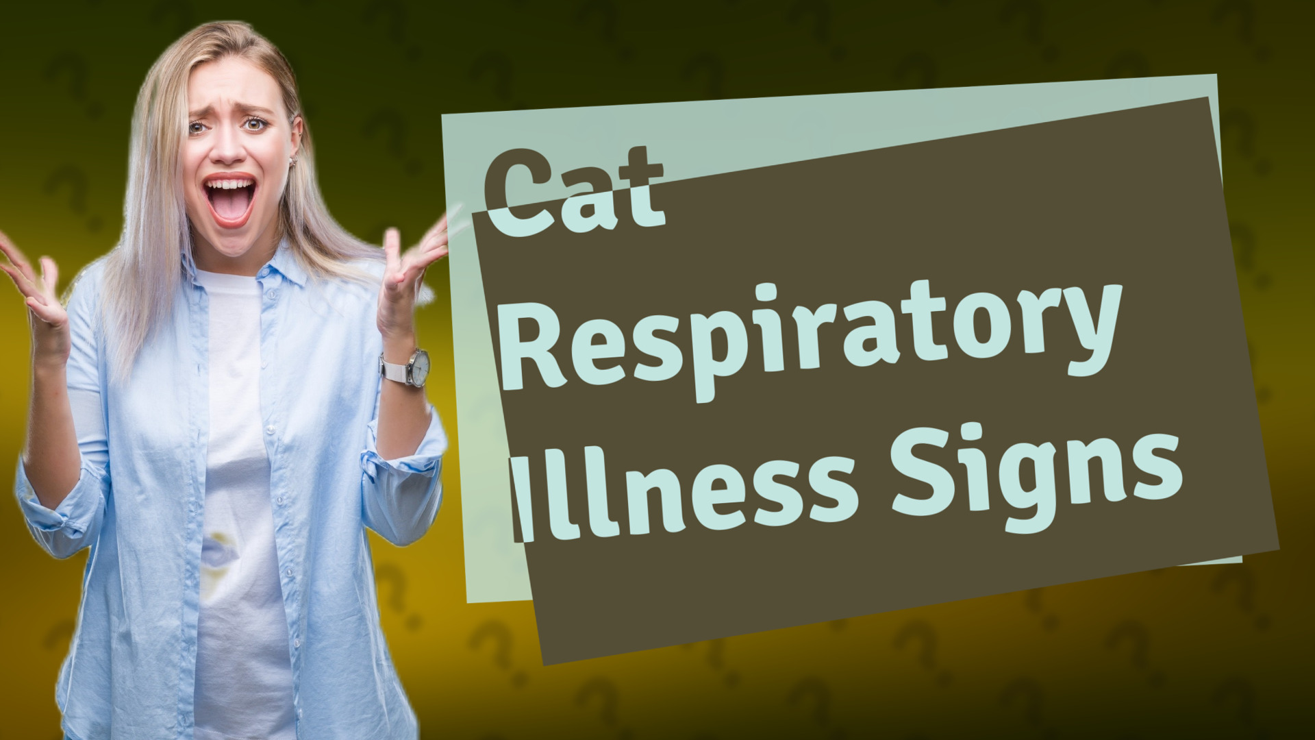 Cat Respiratory Illness Signs