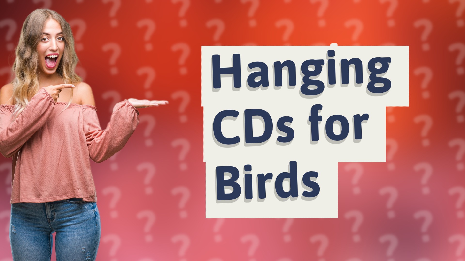 Hanging CDs for Birds
