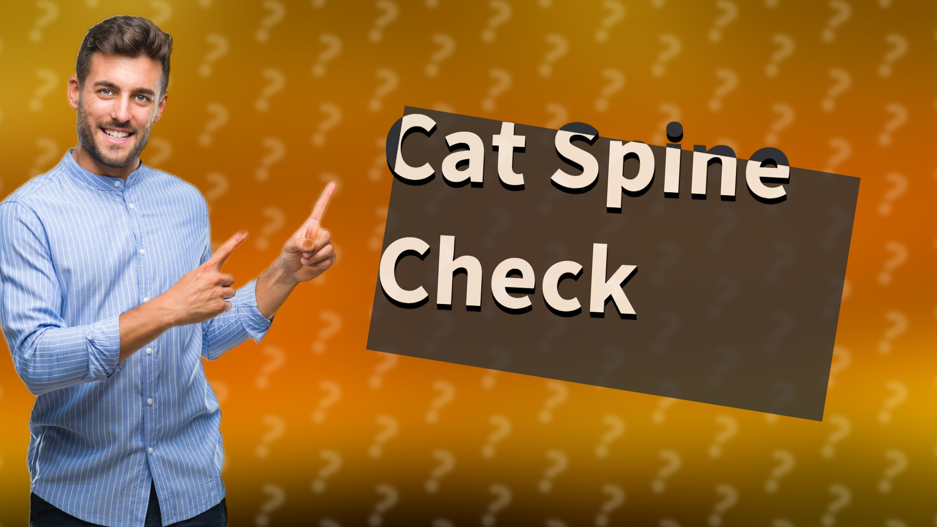 Cat Spine Check
