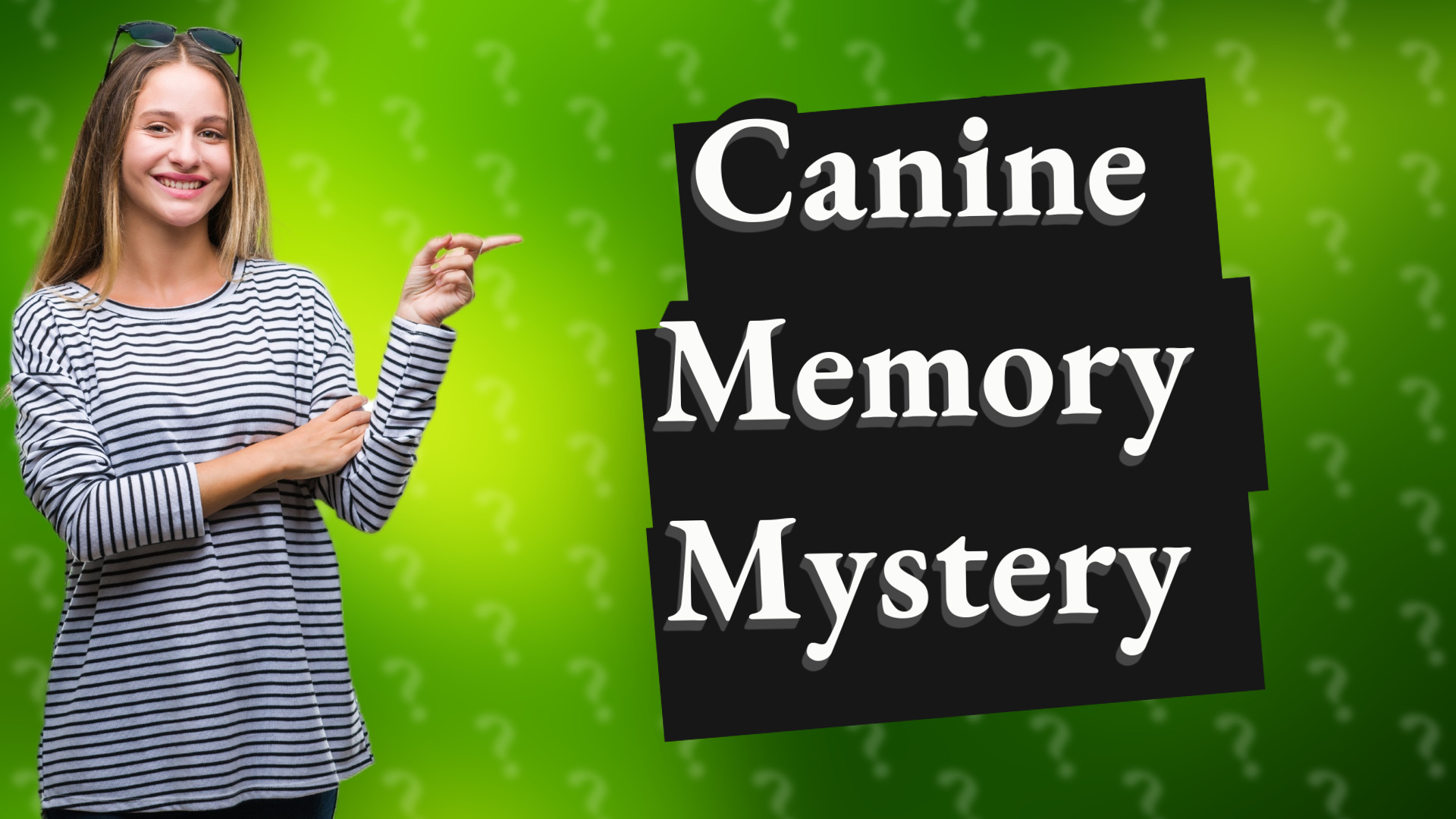 Canine Memory Mystery