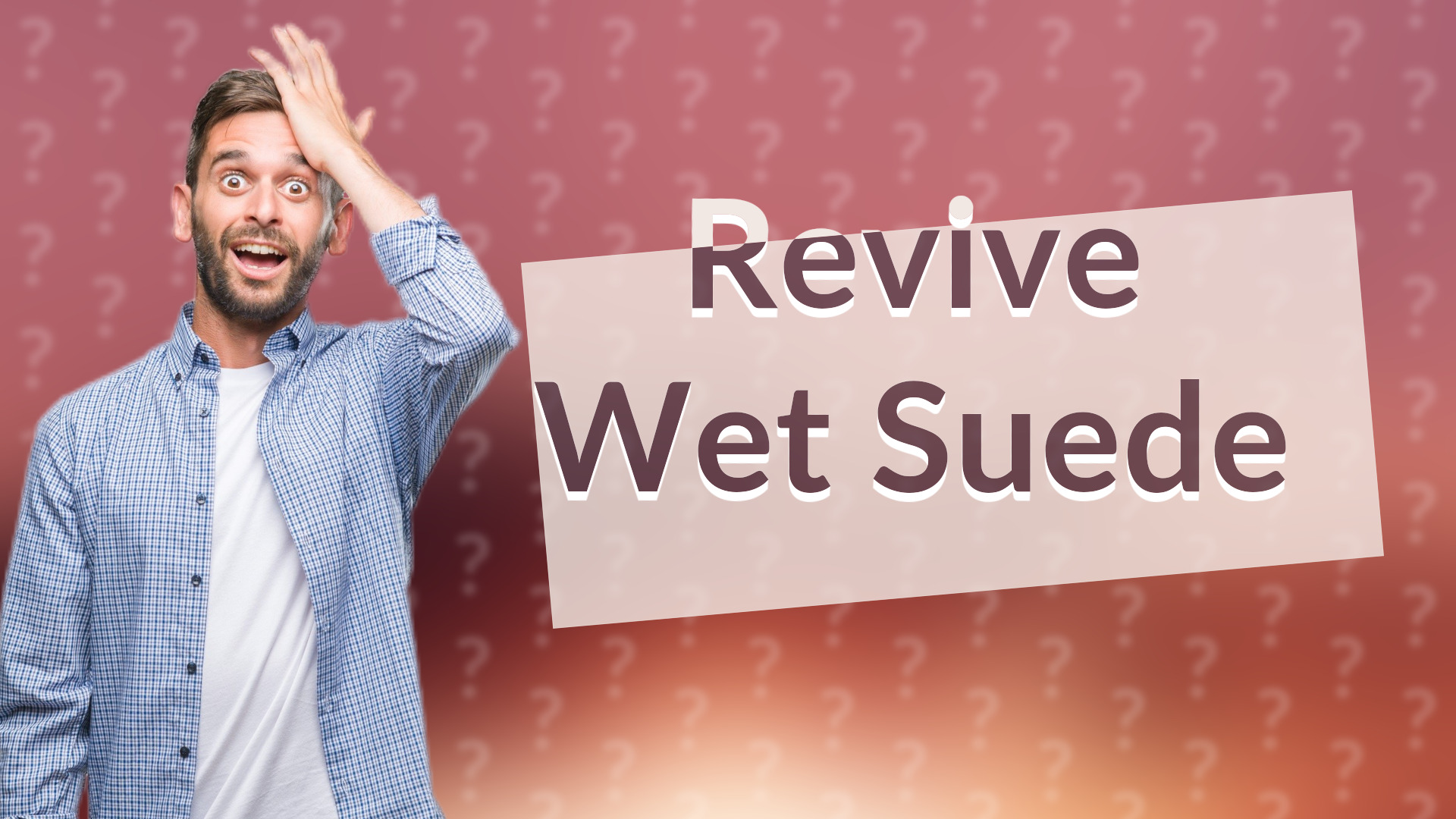Revive Wet Suede