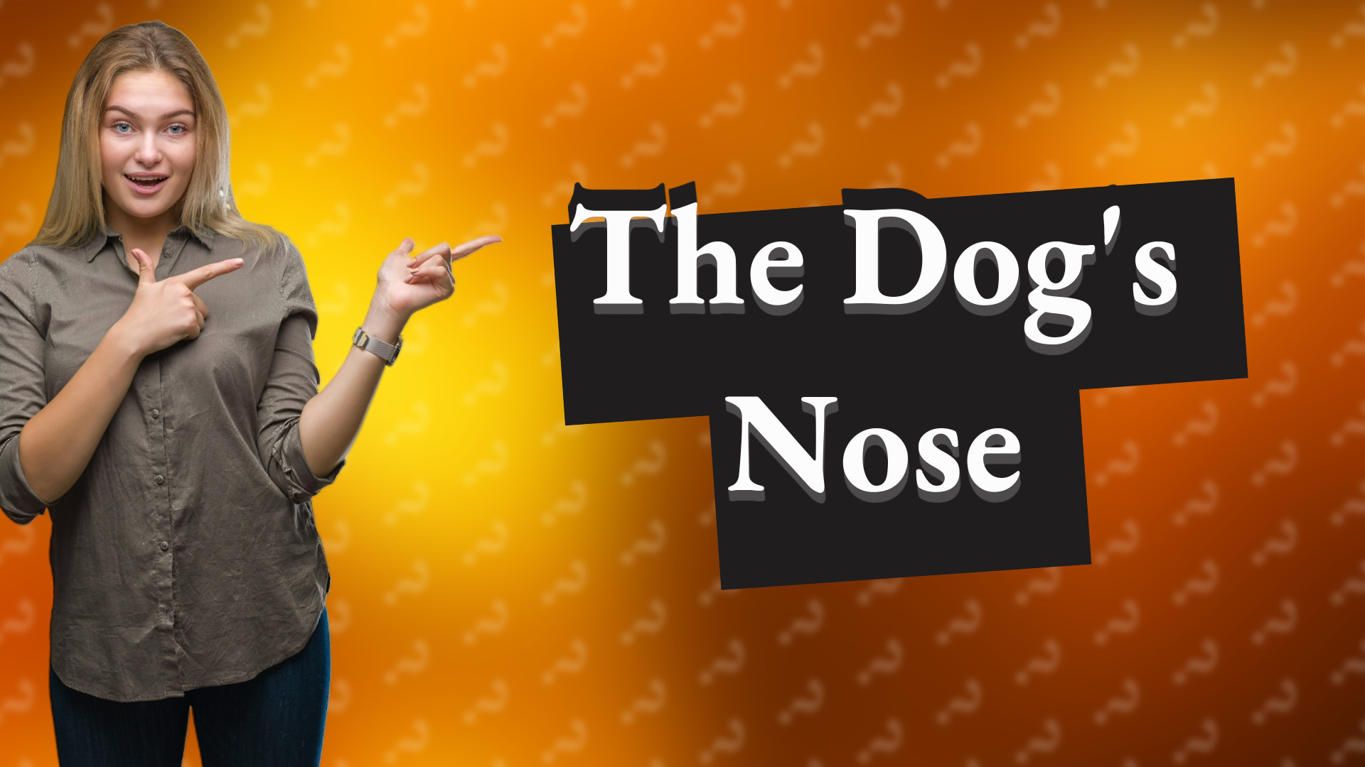 The Dog's Nose