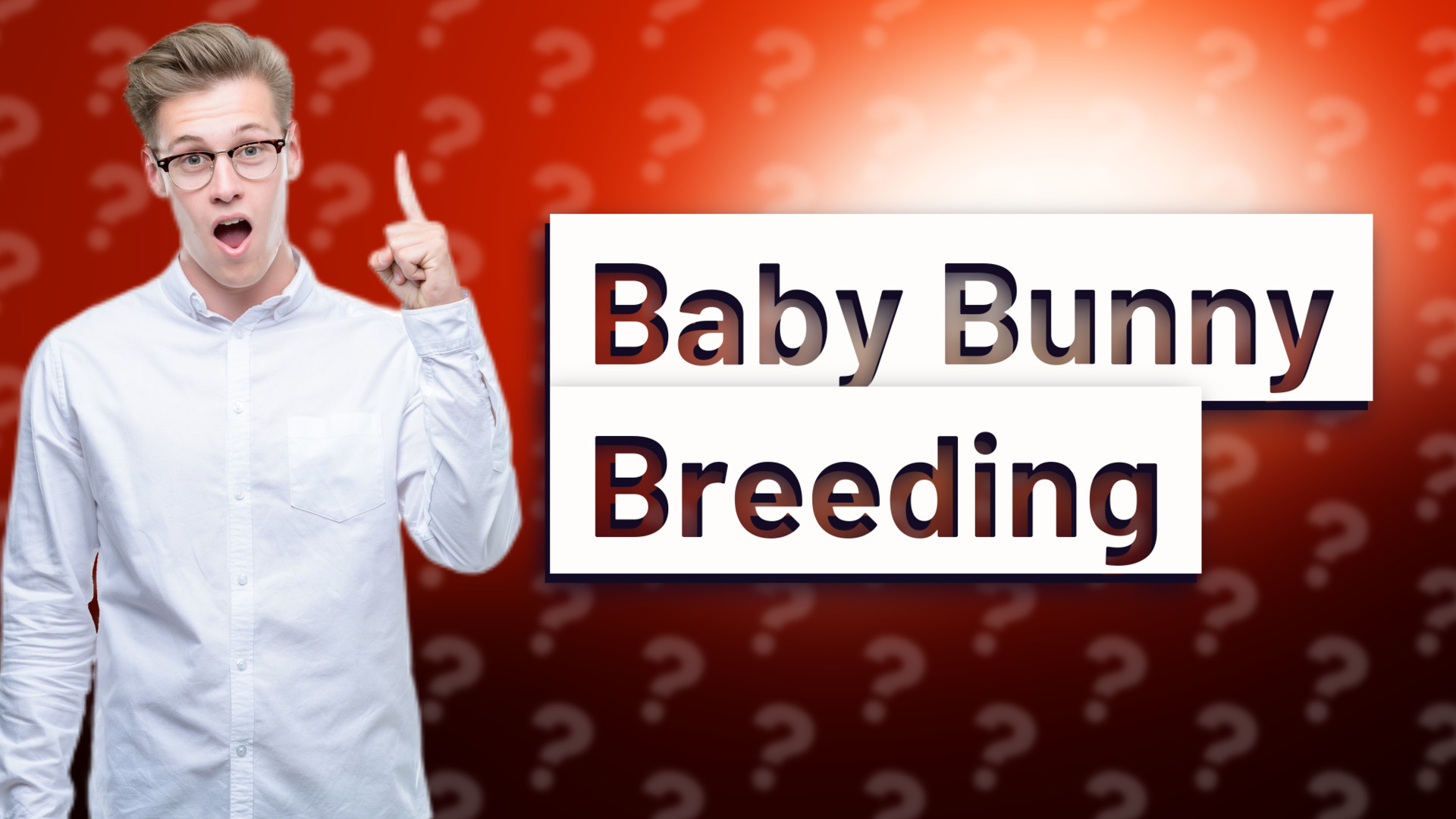 Baby Bunny Breeding
