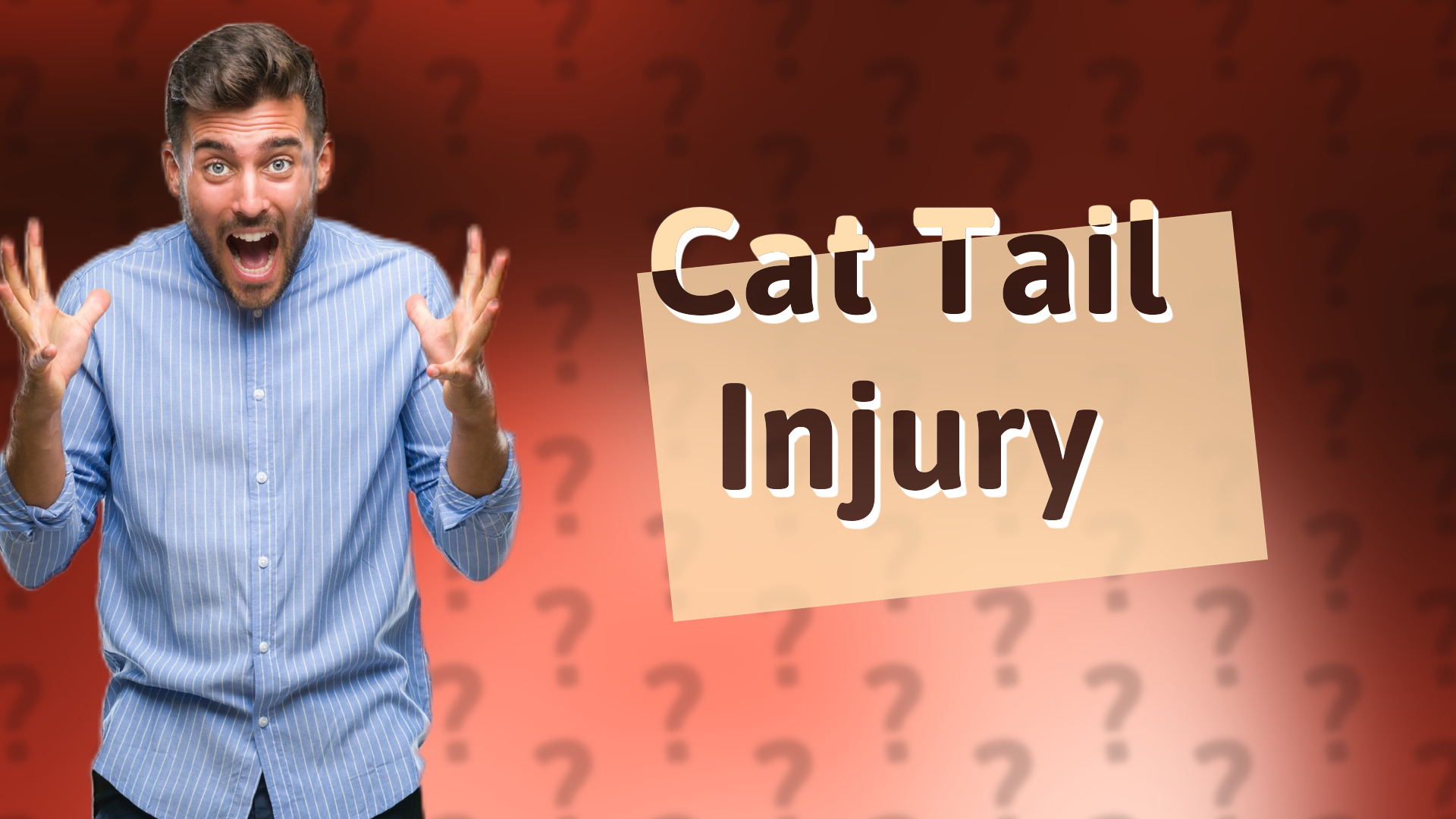 Cat Tail Injury