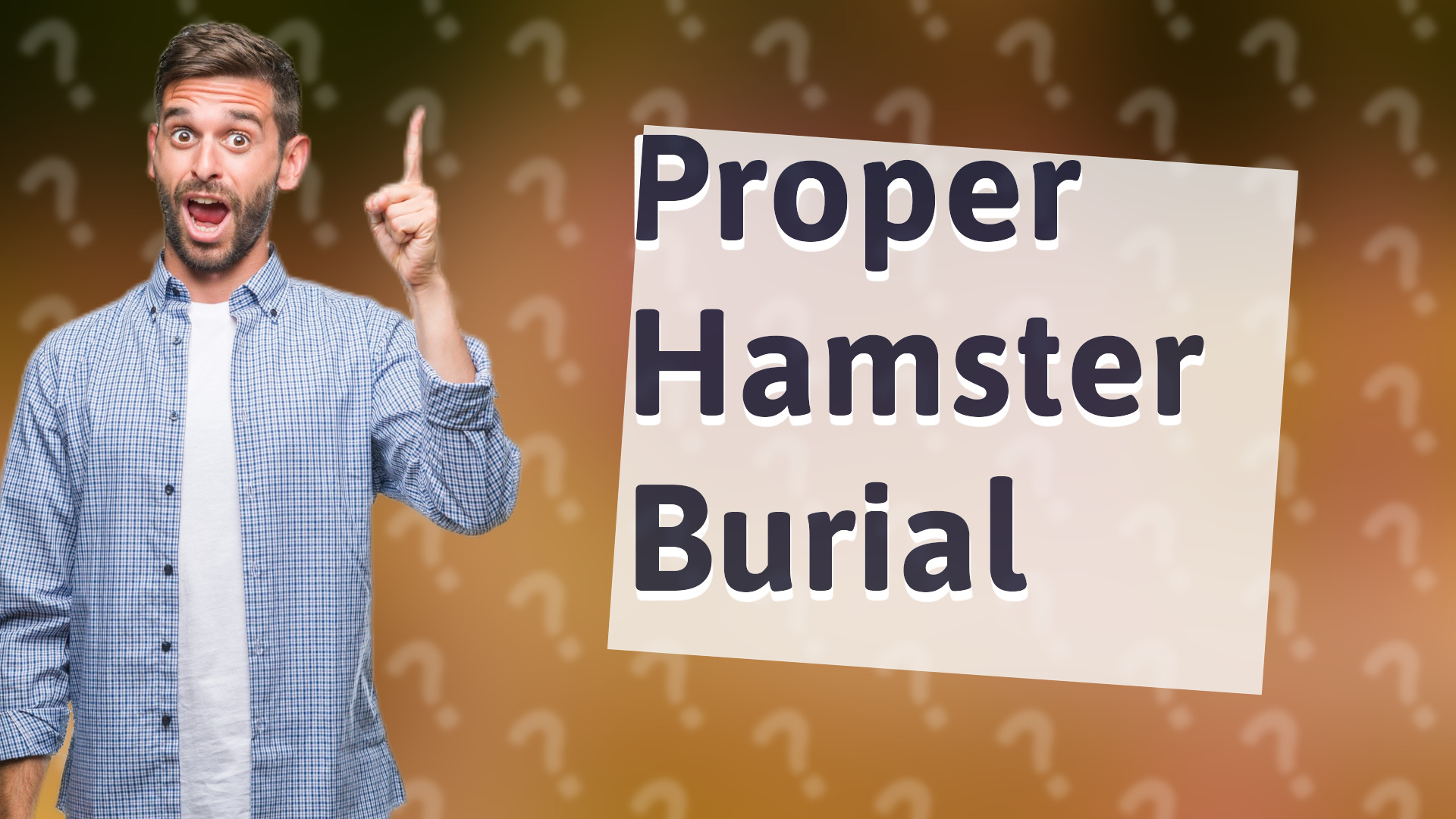 Proper Hamster Burial