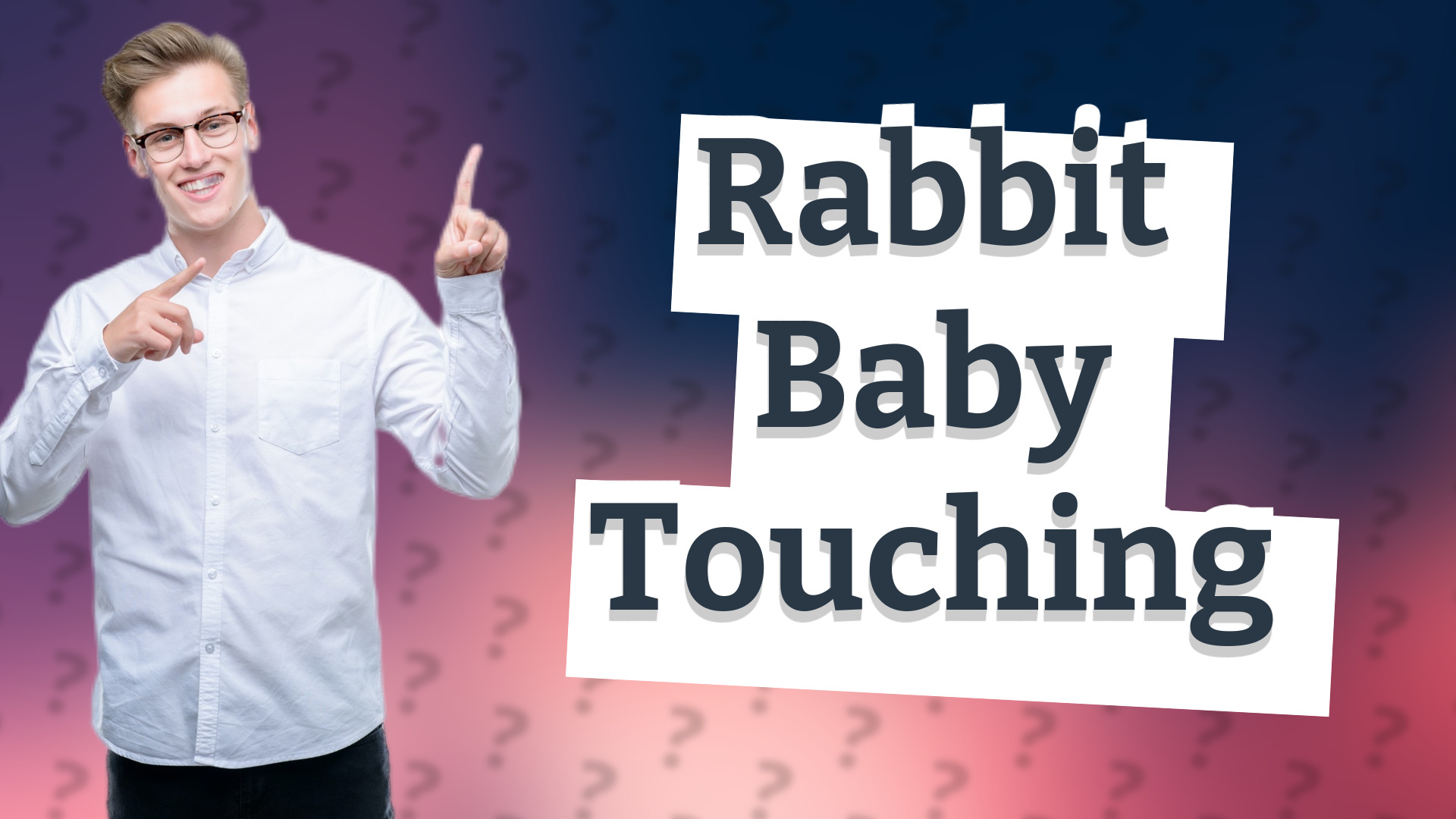 Rabbit Baby Touching