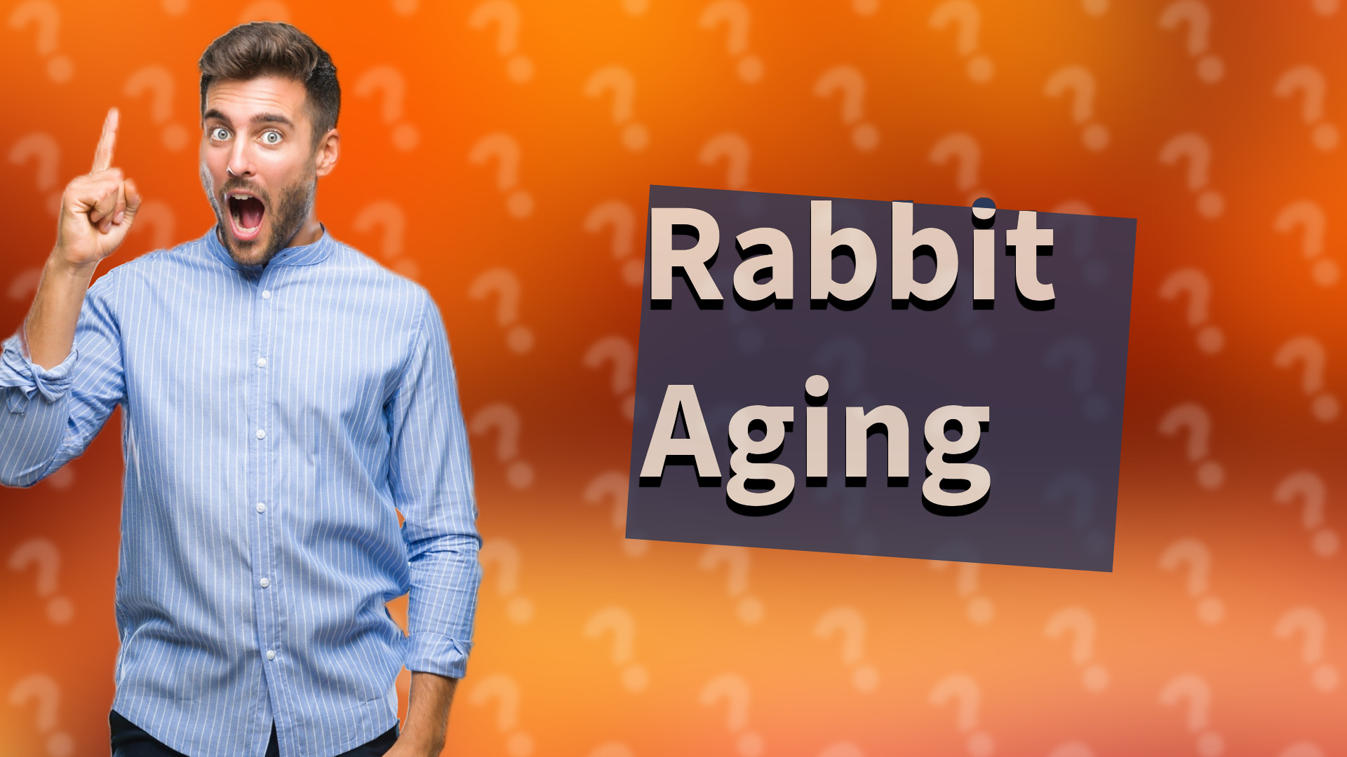 Rabbit Aging