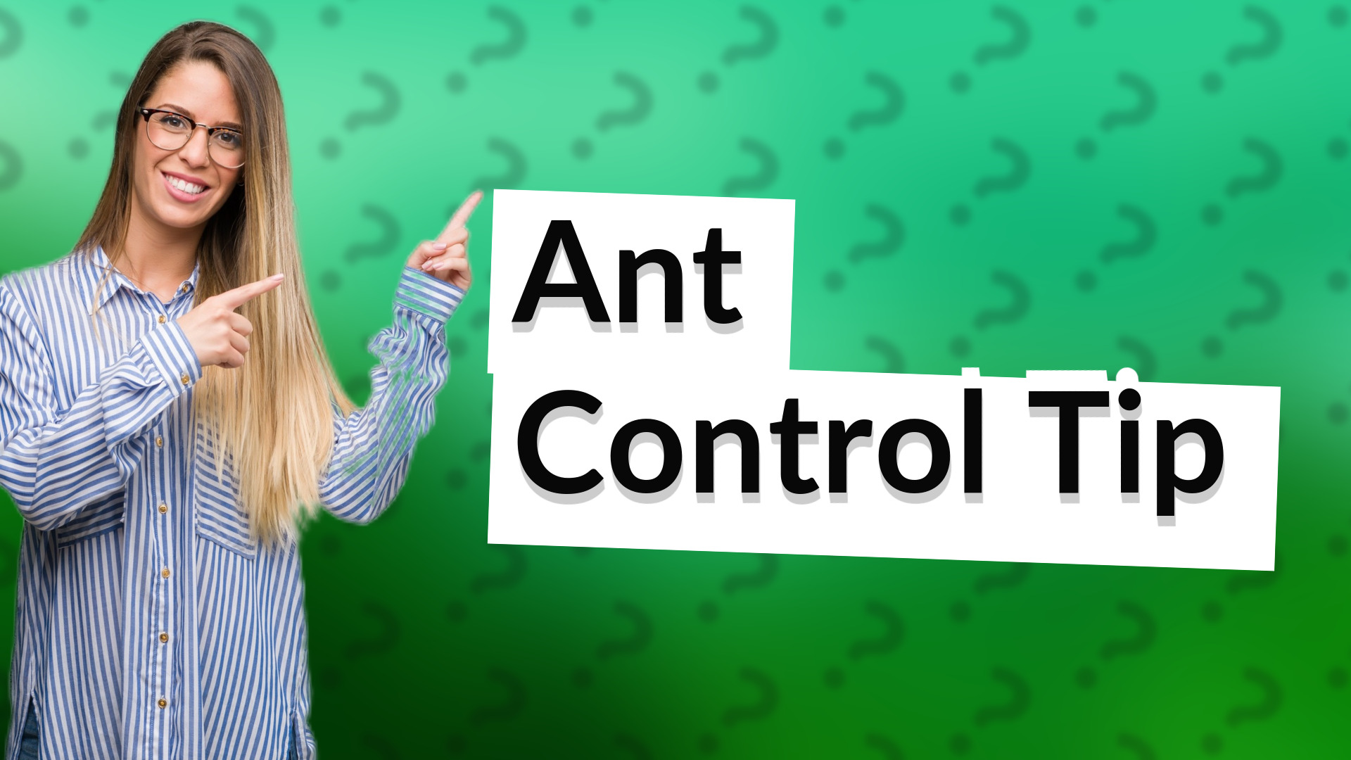 Ant Control Tip