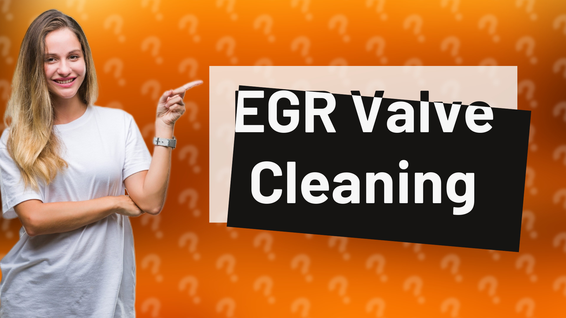 EGR Valve Cleaning